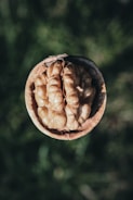 A close-up view of a half-opened walnut with a detailed texture. The nut is positioned centrally against a blurred green background, highlighting its intricate, brain-like surface and earthy tones.