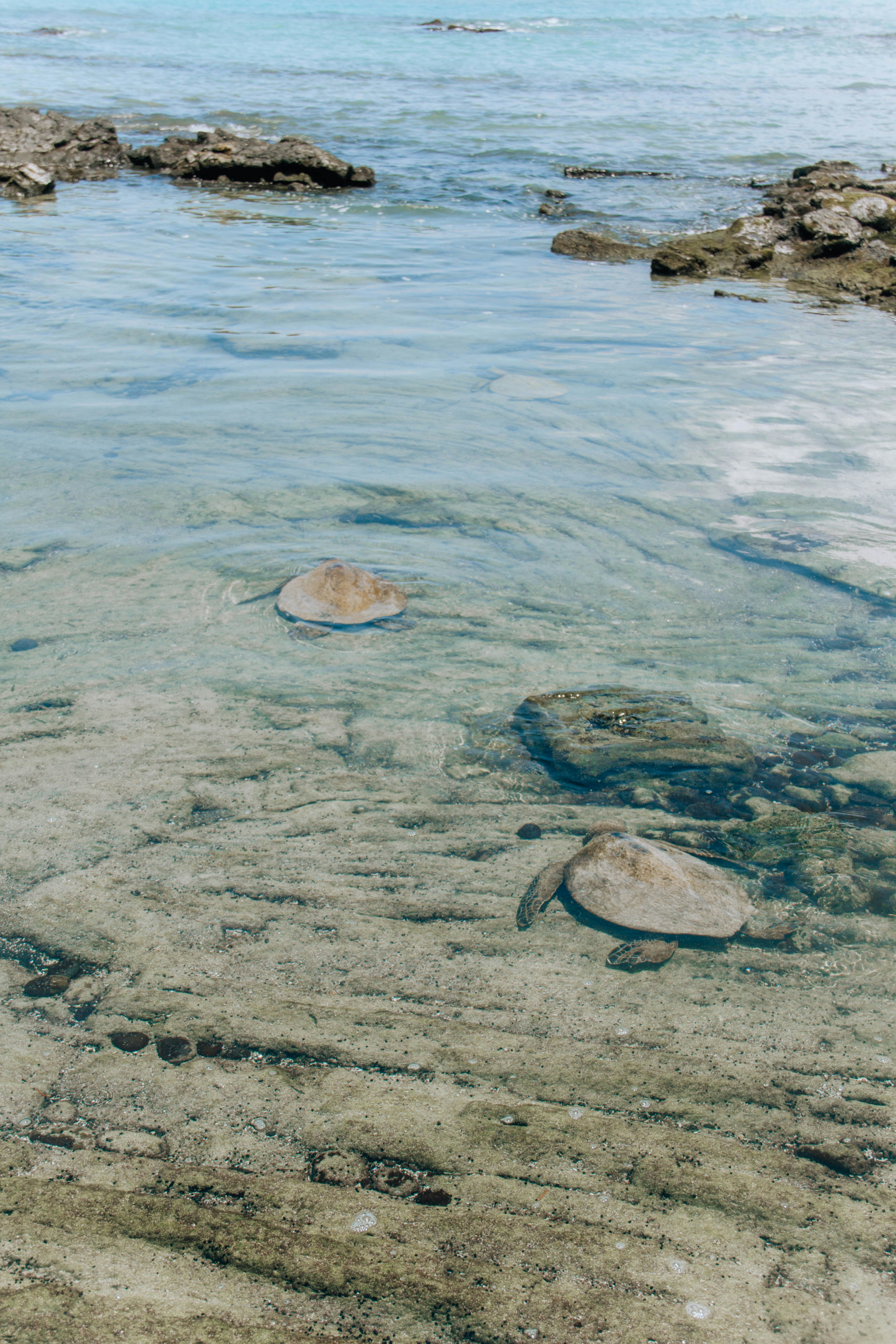 Photo by ingridmartinussen