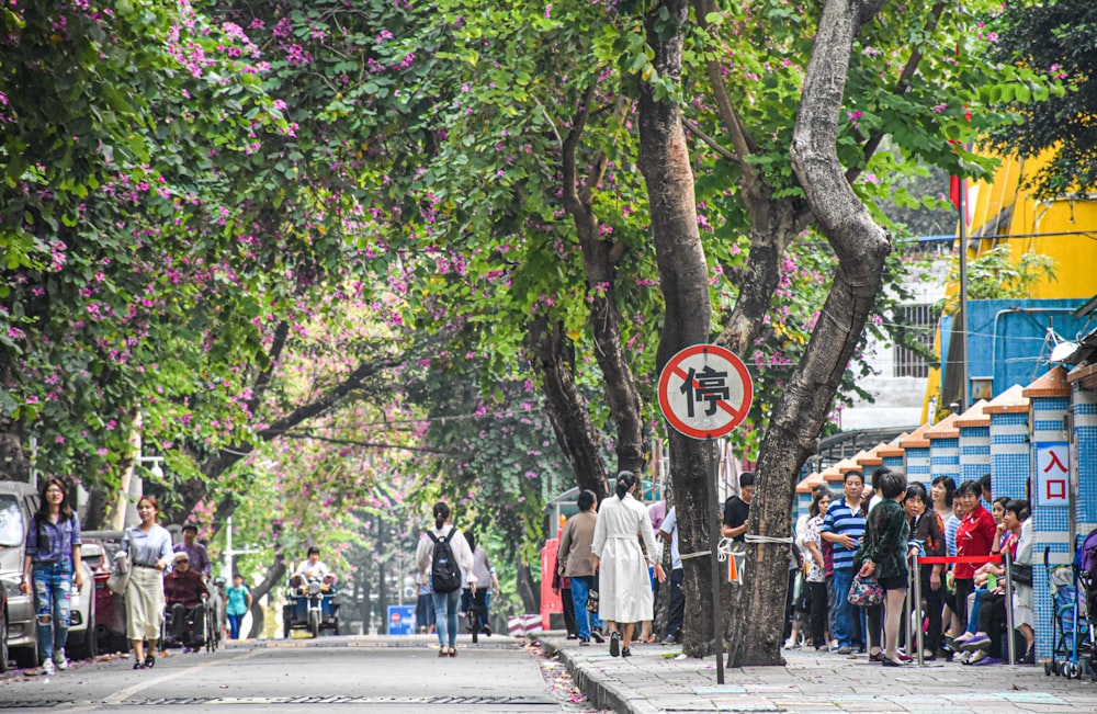 Un groupe de personnes marchant dans une rue à côté d’arbres