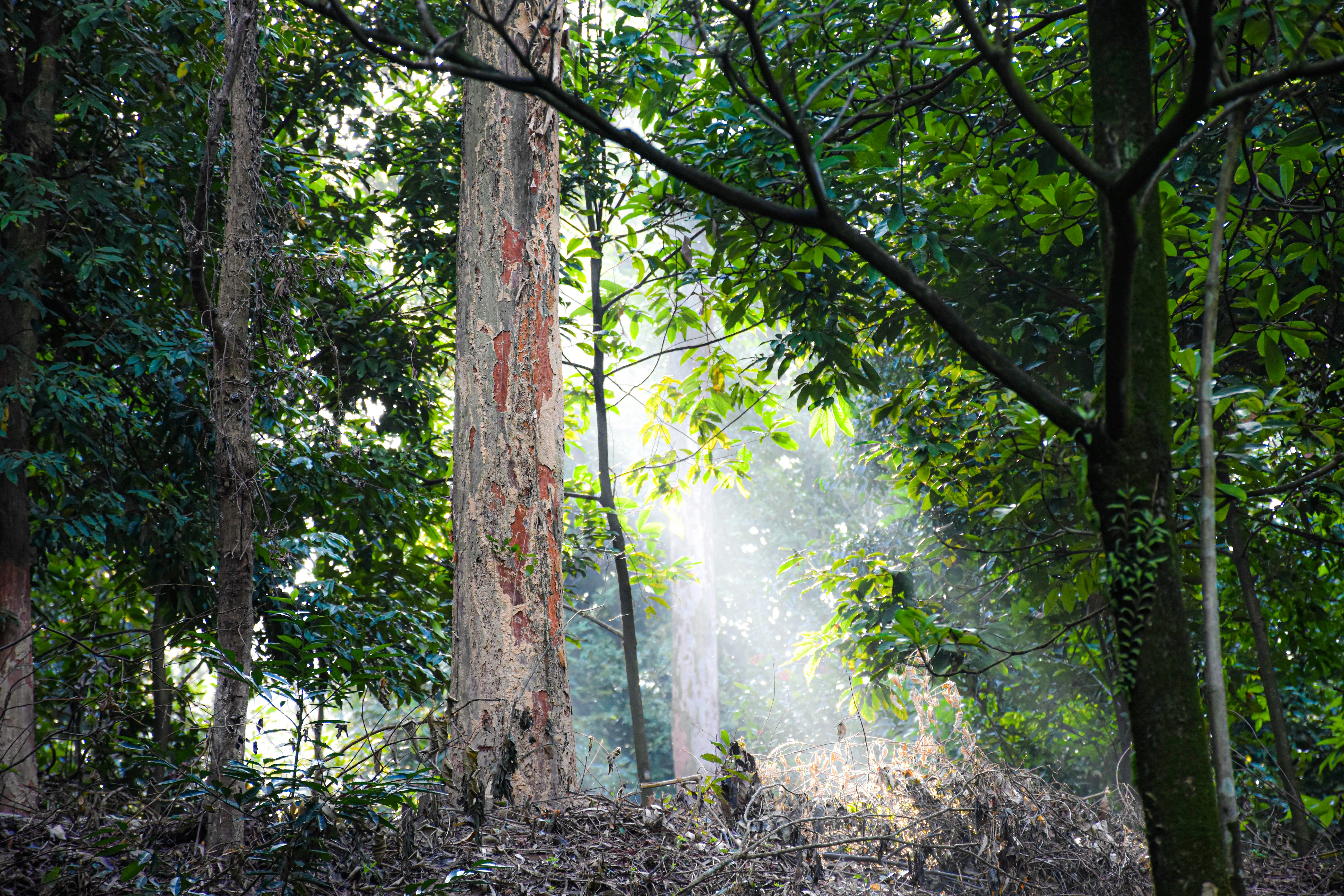 Perancangan Iklan Layanan Masyarakat Tentang Demam Berdarah di Surabaya Image