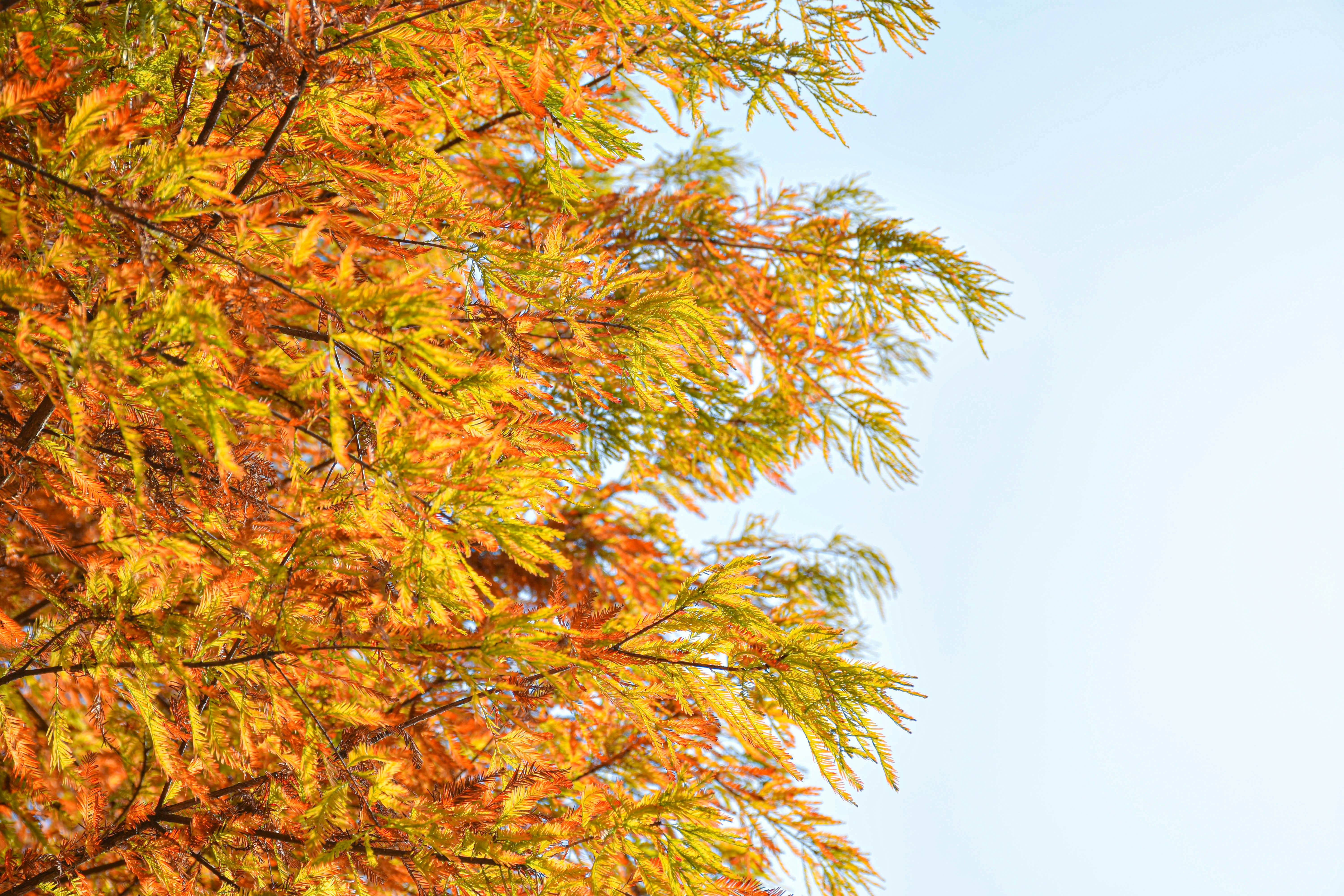 Analisis Fitur M\u002DTicketing PT. Kereta Api Indonesia sebagai Bagian dari Customer Relation Management (CRM) Image