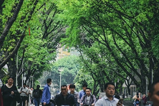 A vibrant street scene in Manaus with people engaging in daily activities under lush greenery.