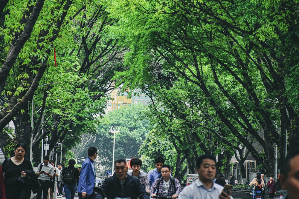 a group of people walking down a tree lined street