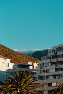 A scenic view of modern real estate properties in an urban environment.