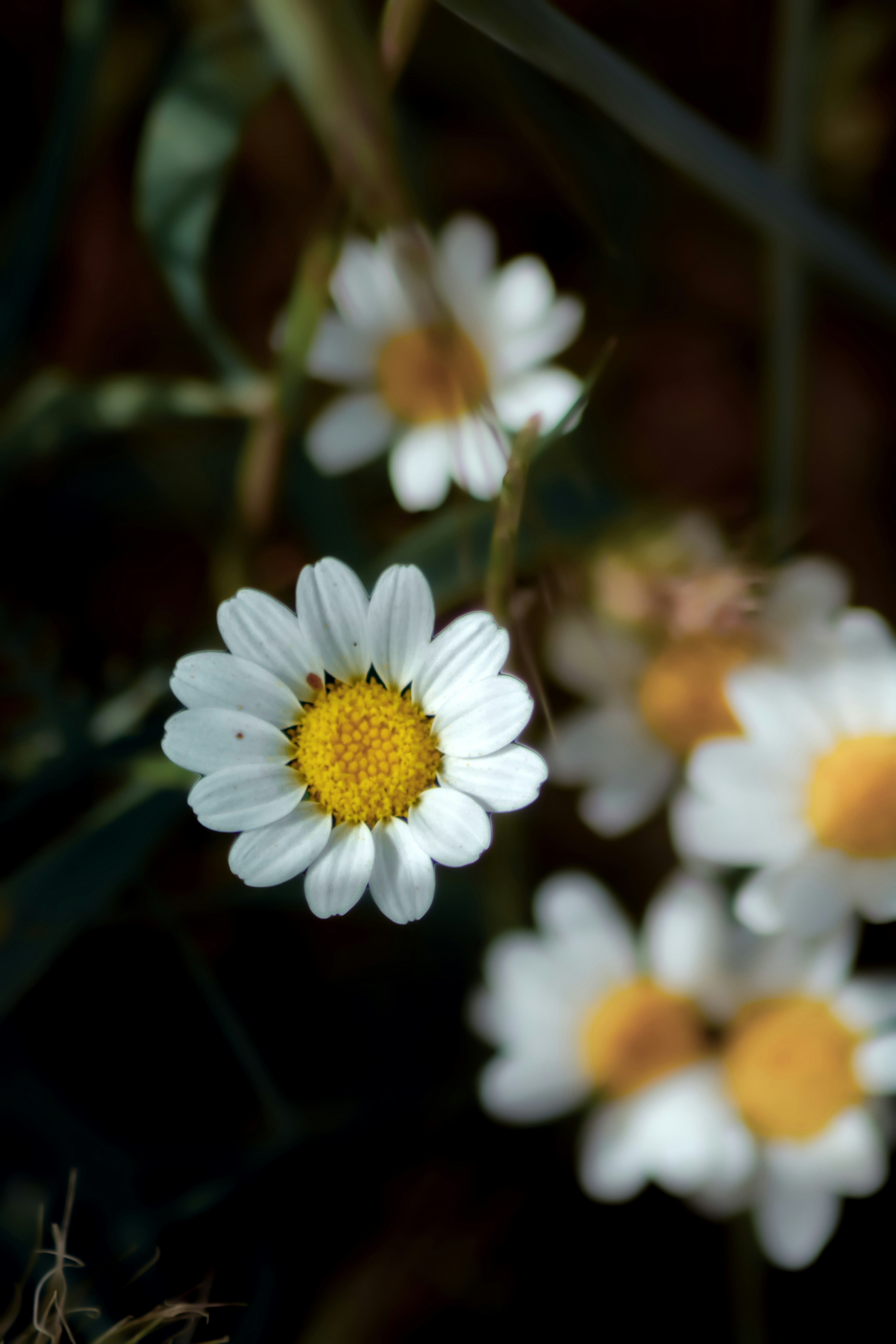 Photo by ultra_evolution