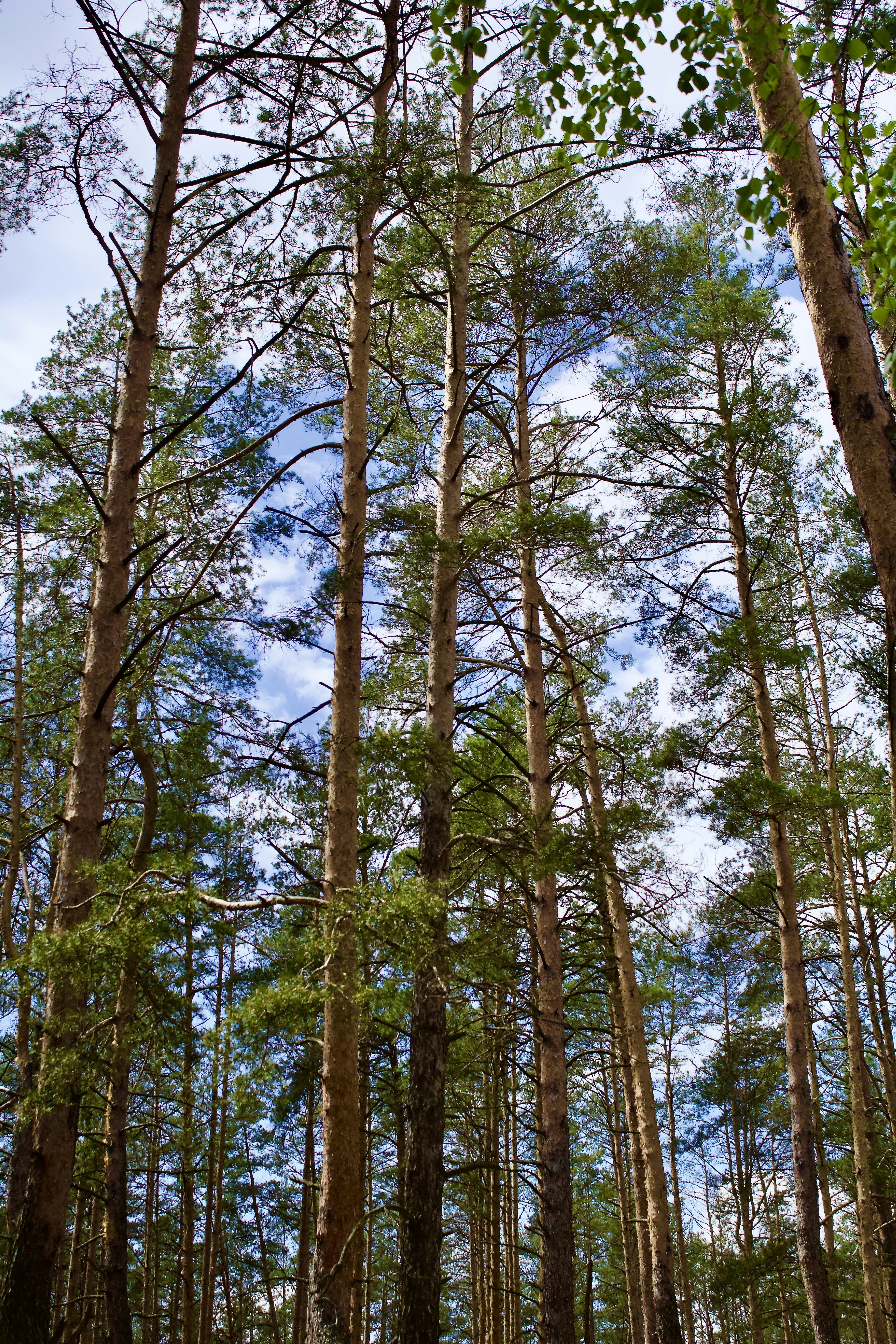 Photo by eleonoramir