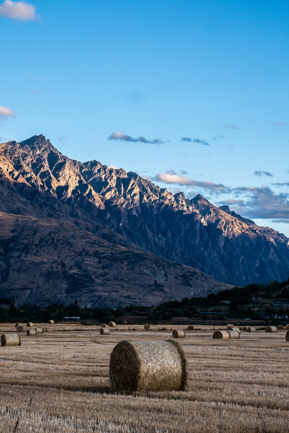 bales of hay in a field with mountains in the background