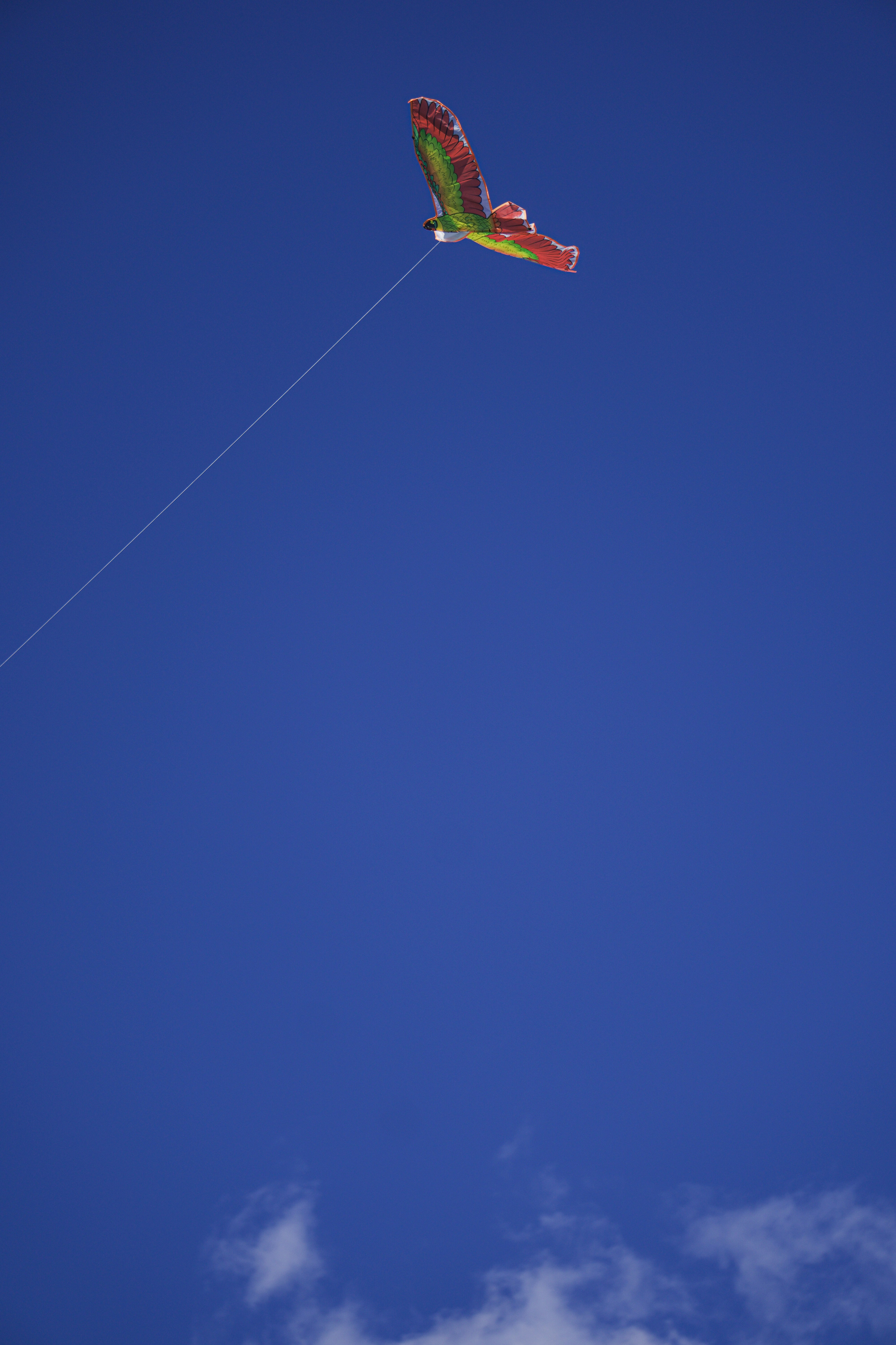 Photo by brettmayson