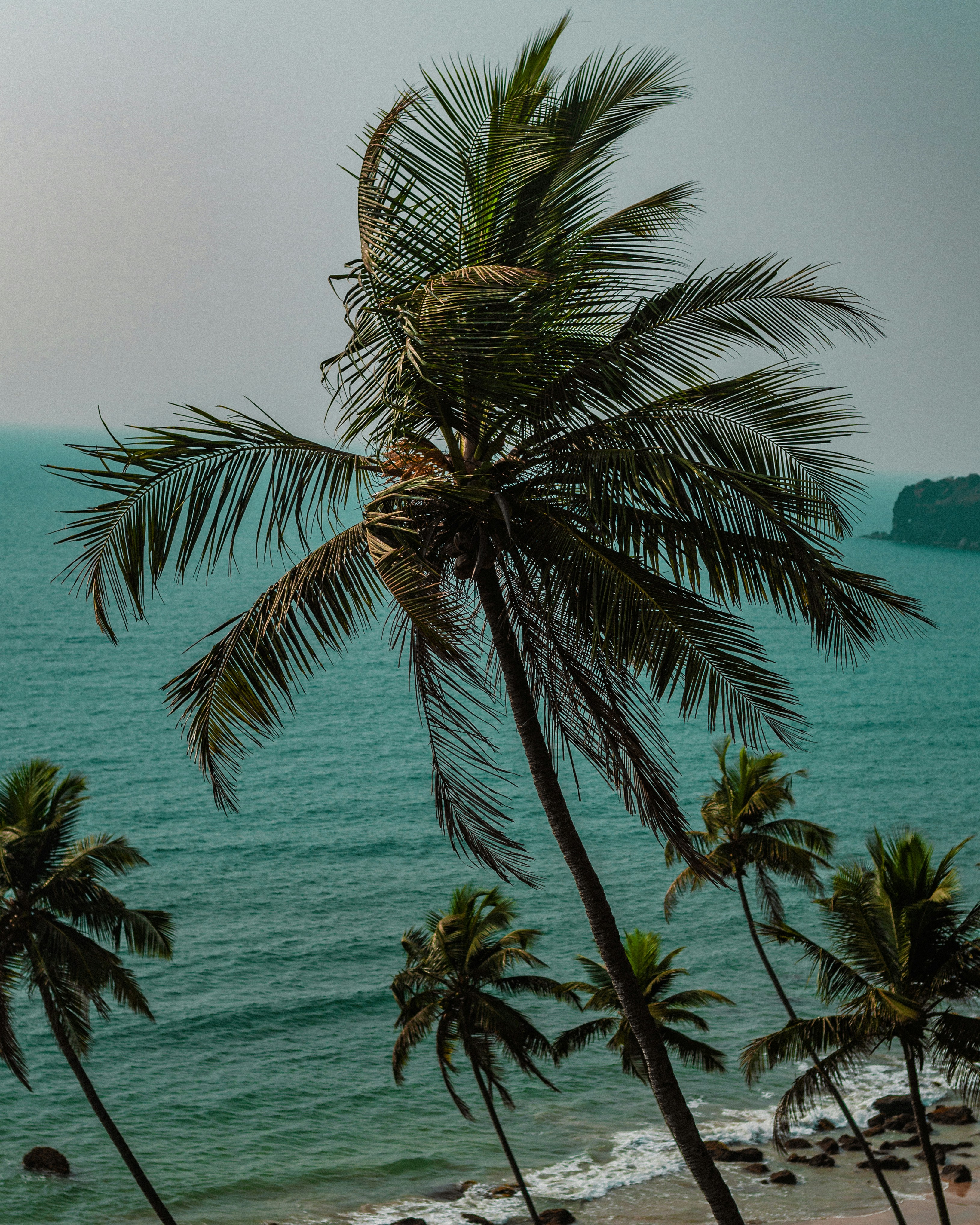 Photo by rubenstein111rebello