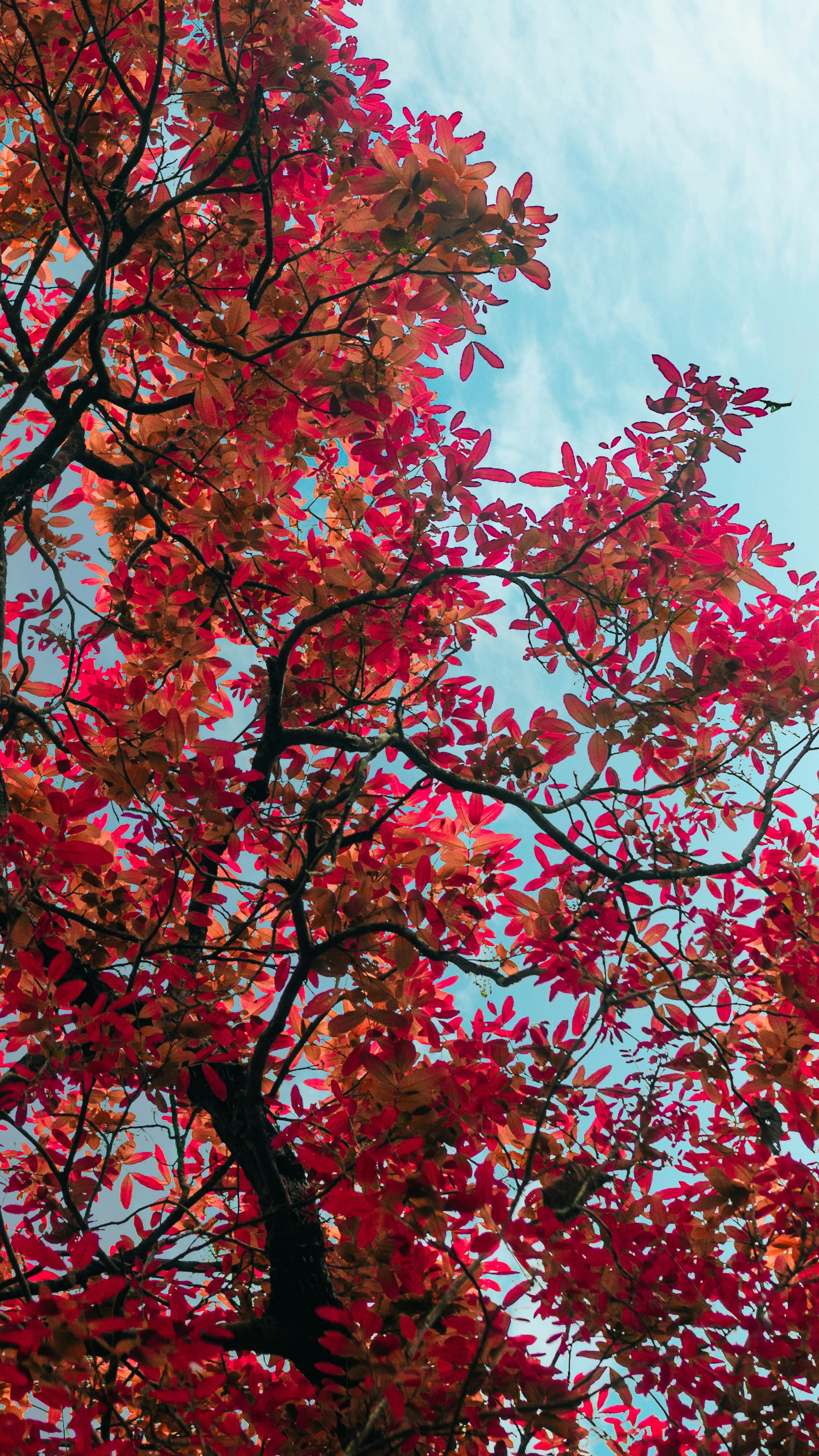 Photo by rubenstein111rebello