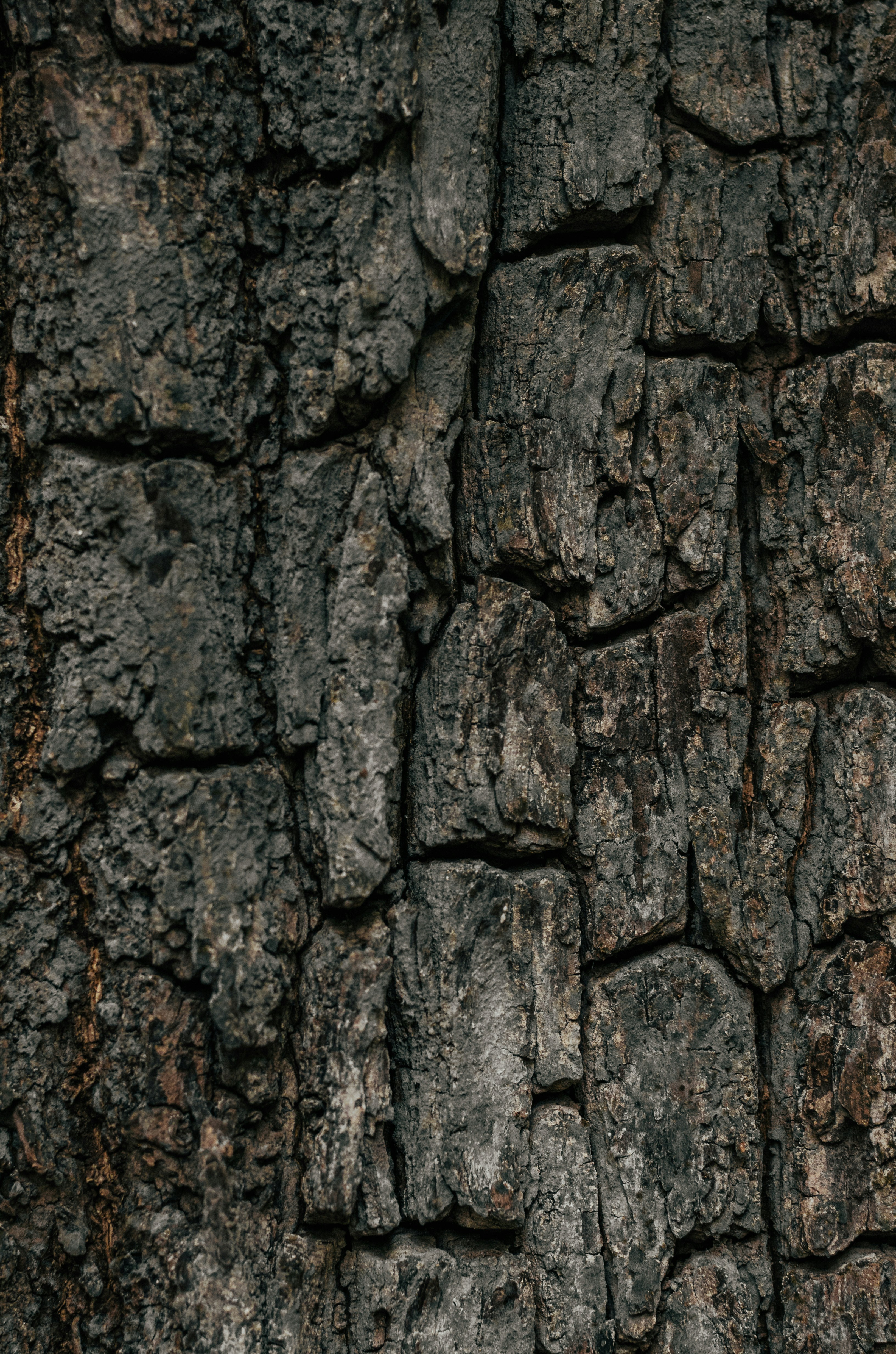 Photo by rubenstein111rebello