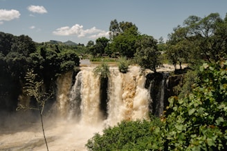 a view of a waterfall in the middle of a forest