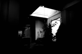 A high-contrast black and white photograph capturing an interior space with sharp shadows and highlights. The image includes a skylight allowing natural light to pour in, creating stark differences between light and dark areas. A group of plants is silhouetted against a bright background near a wall with textured edges and a large opening.