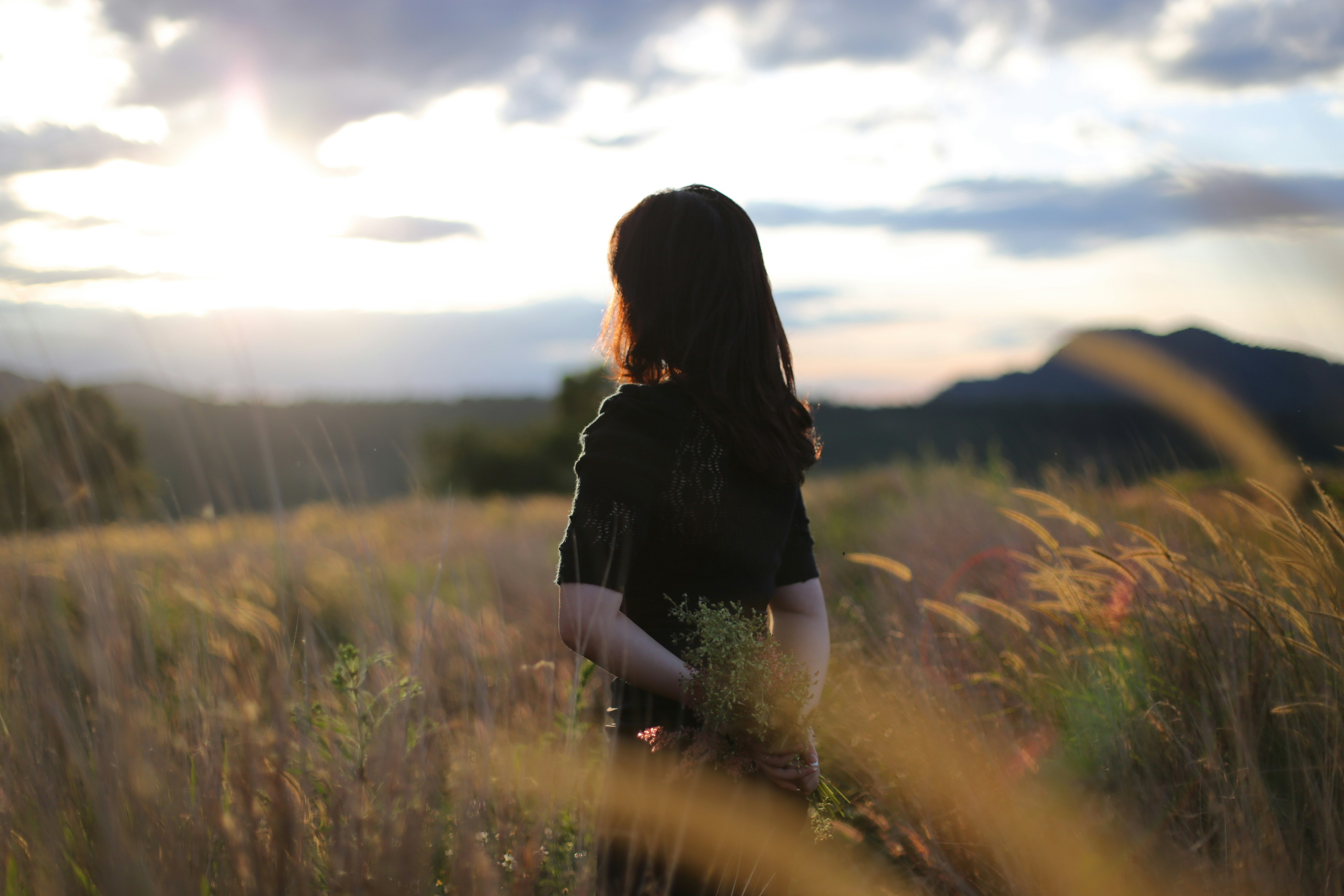 Photo by quangdieu195