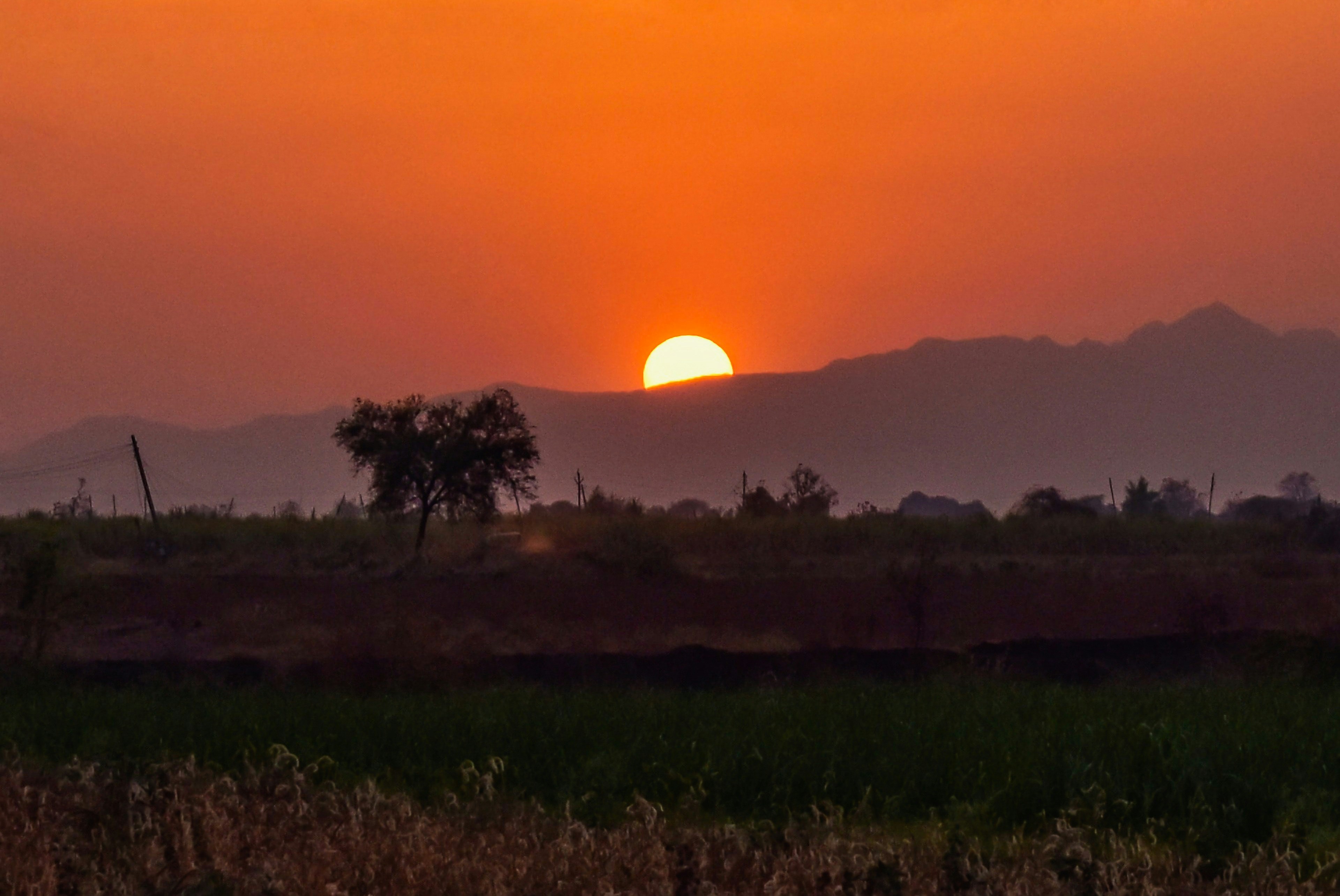 Photo by atomsmasher