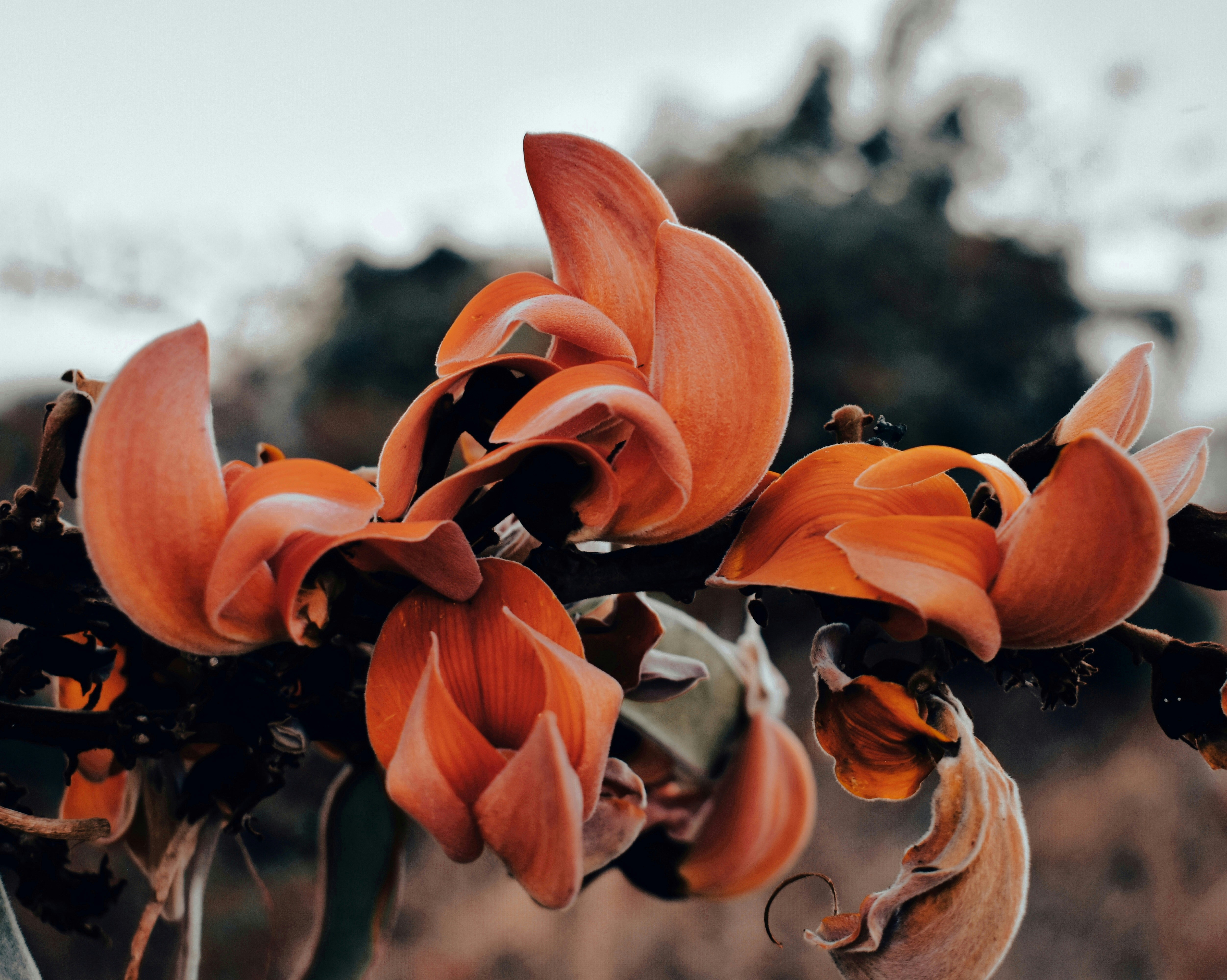 Photo by atomsmasher