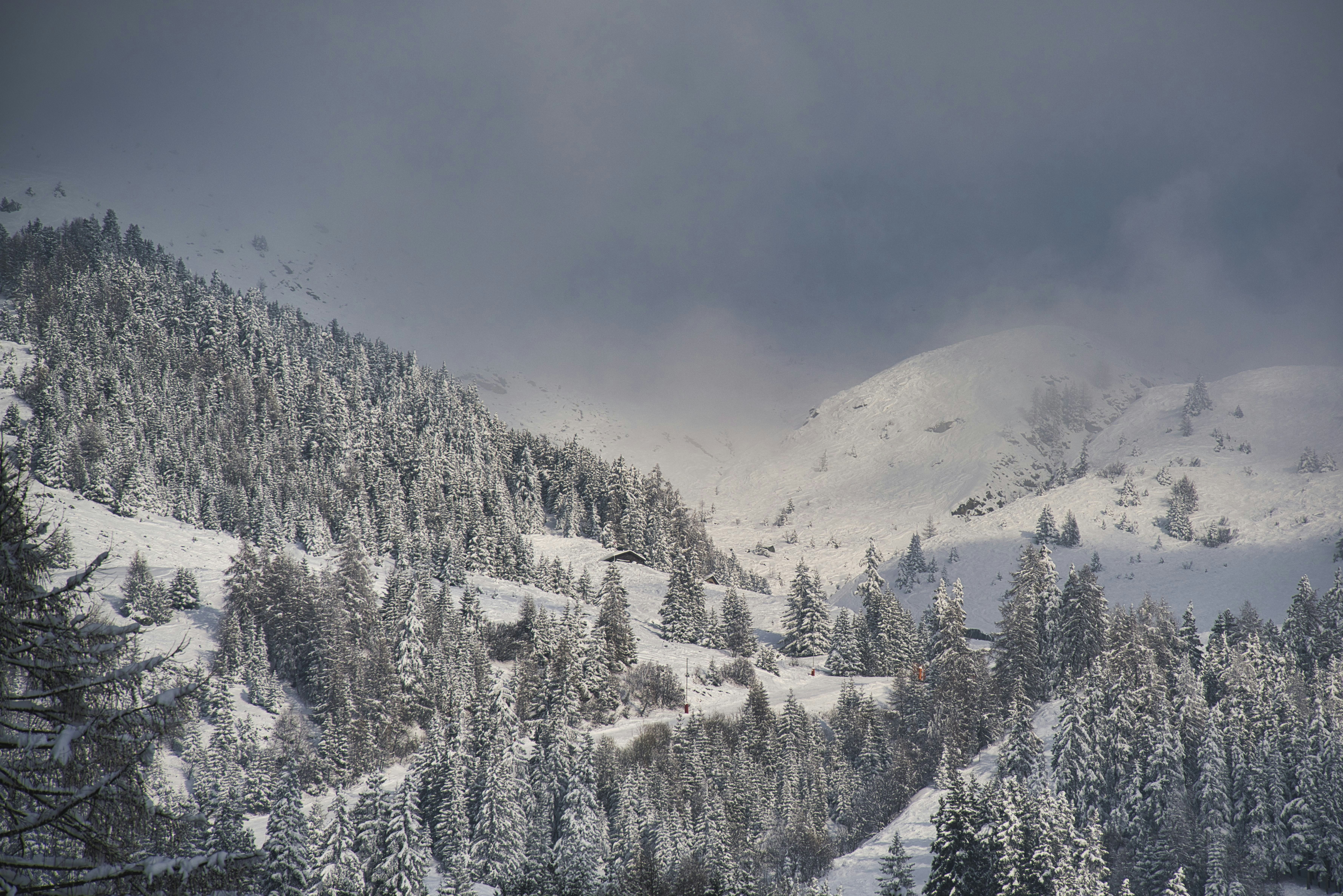 Photo by gabor_koszegi