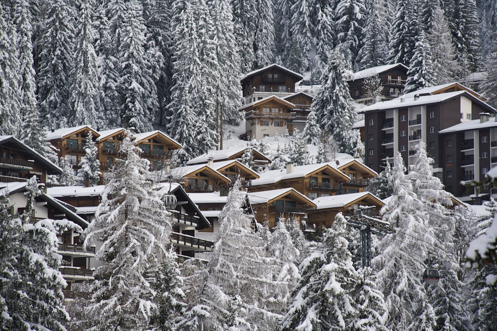 a group of buildings surrounded by snow covered trees