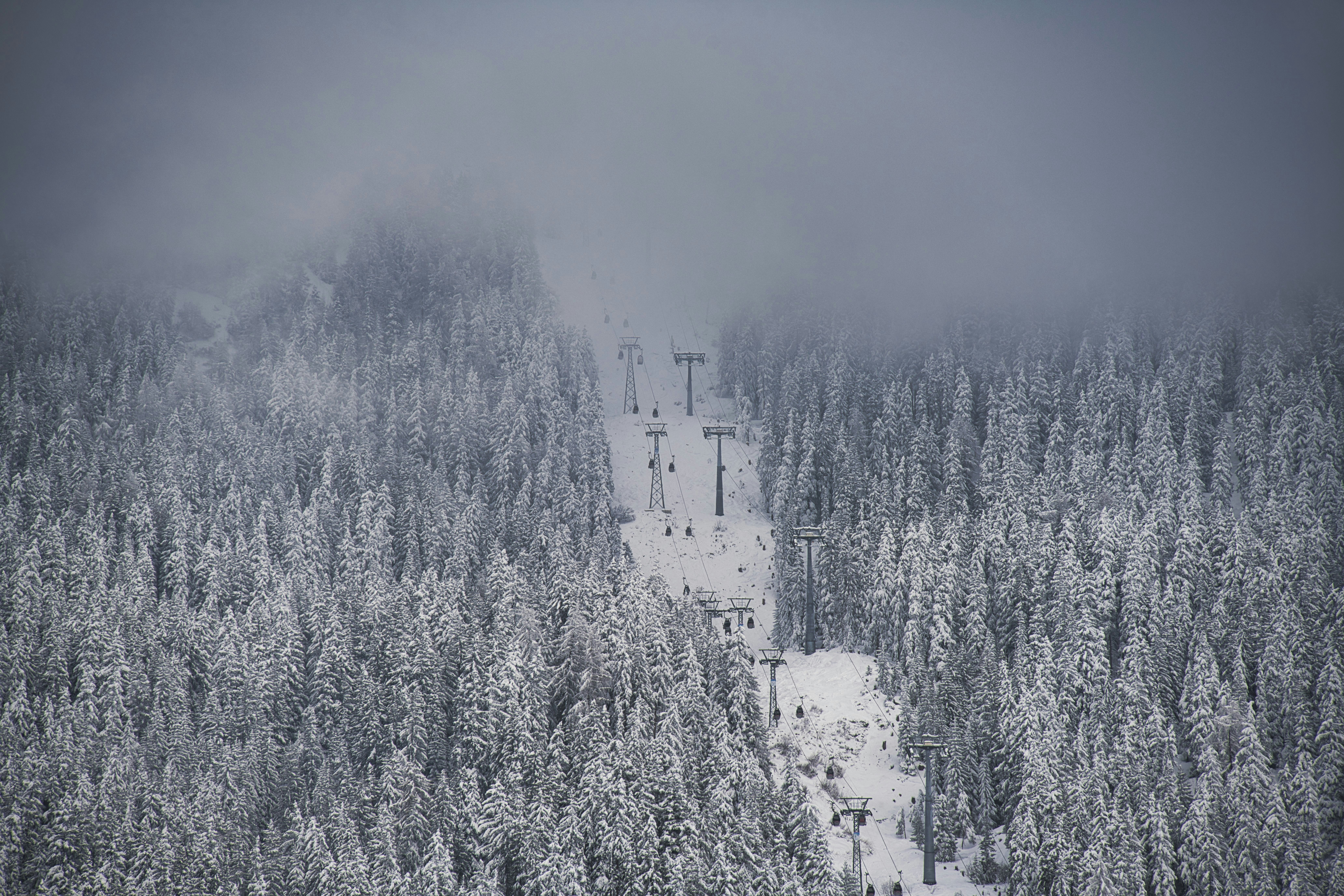 Photo by gabor_koszegi