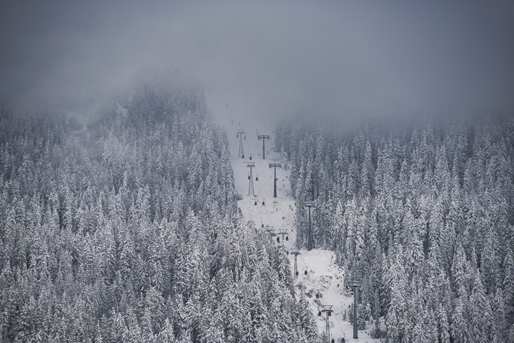 a ski lift in the middle of a snowy forest