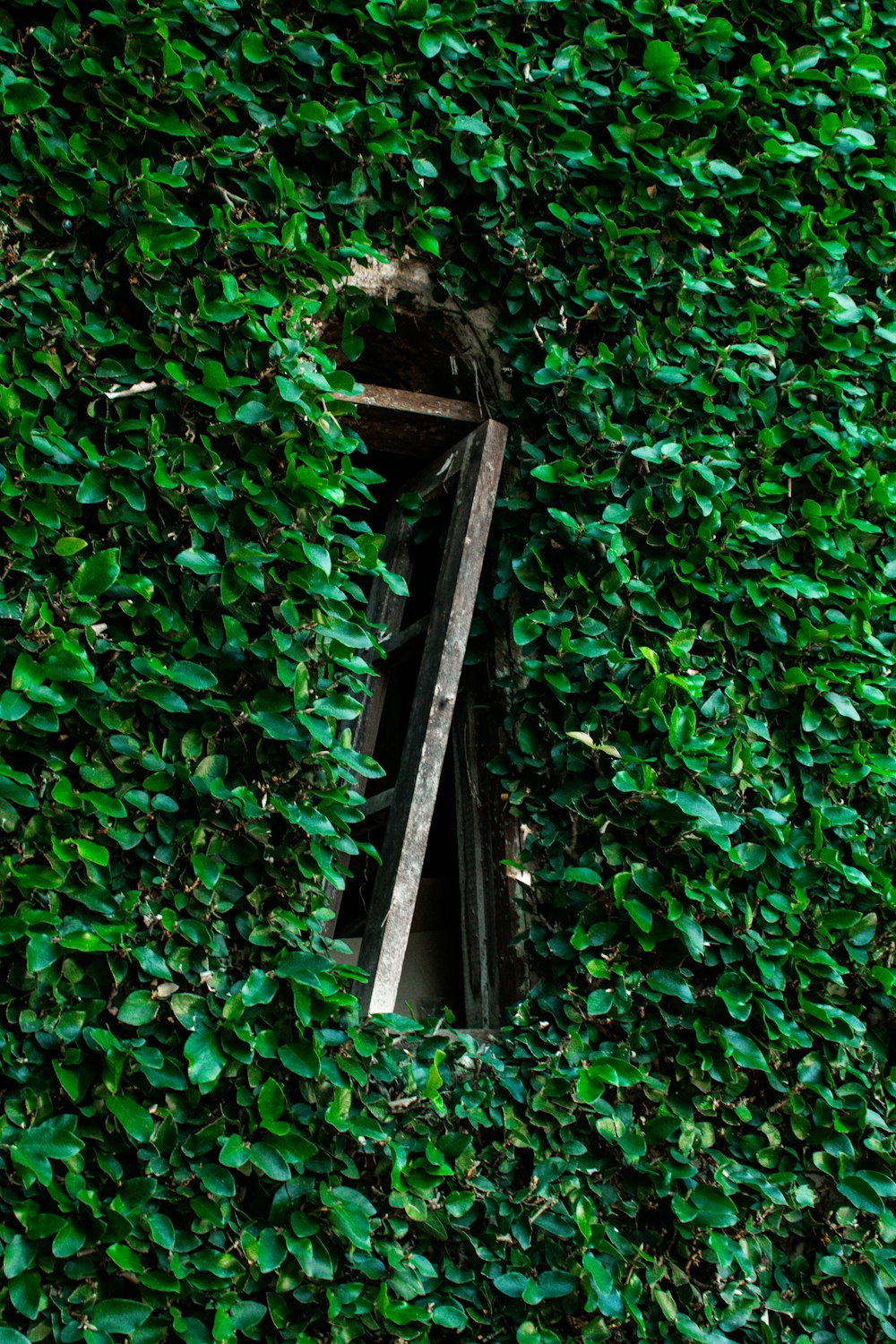a window in the middle of a green wall