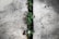 A small green plant with delicate leaves emerges from a narrow crack in a concrete surface. The surrounding concrete is rough and weathered, showing signs of age and use.