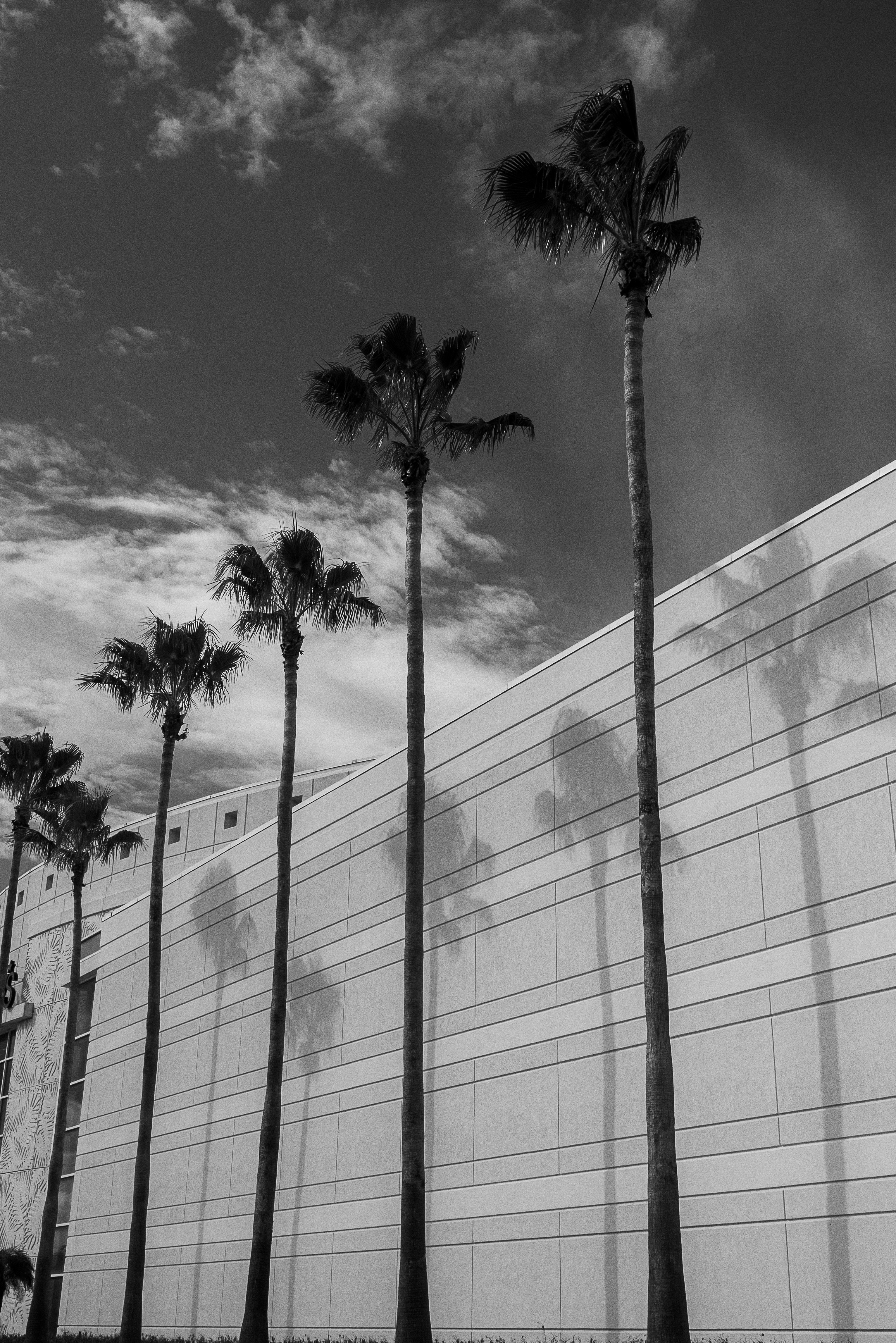 Photo by savannahasah