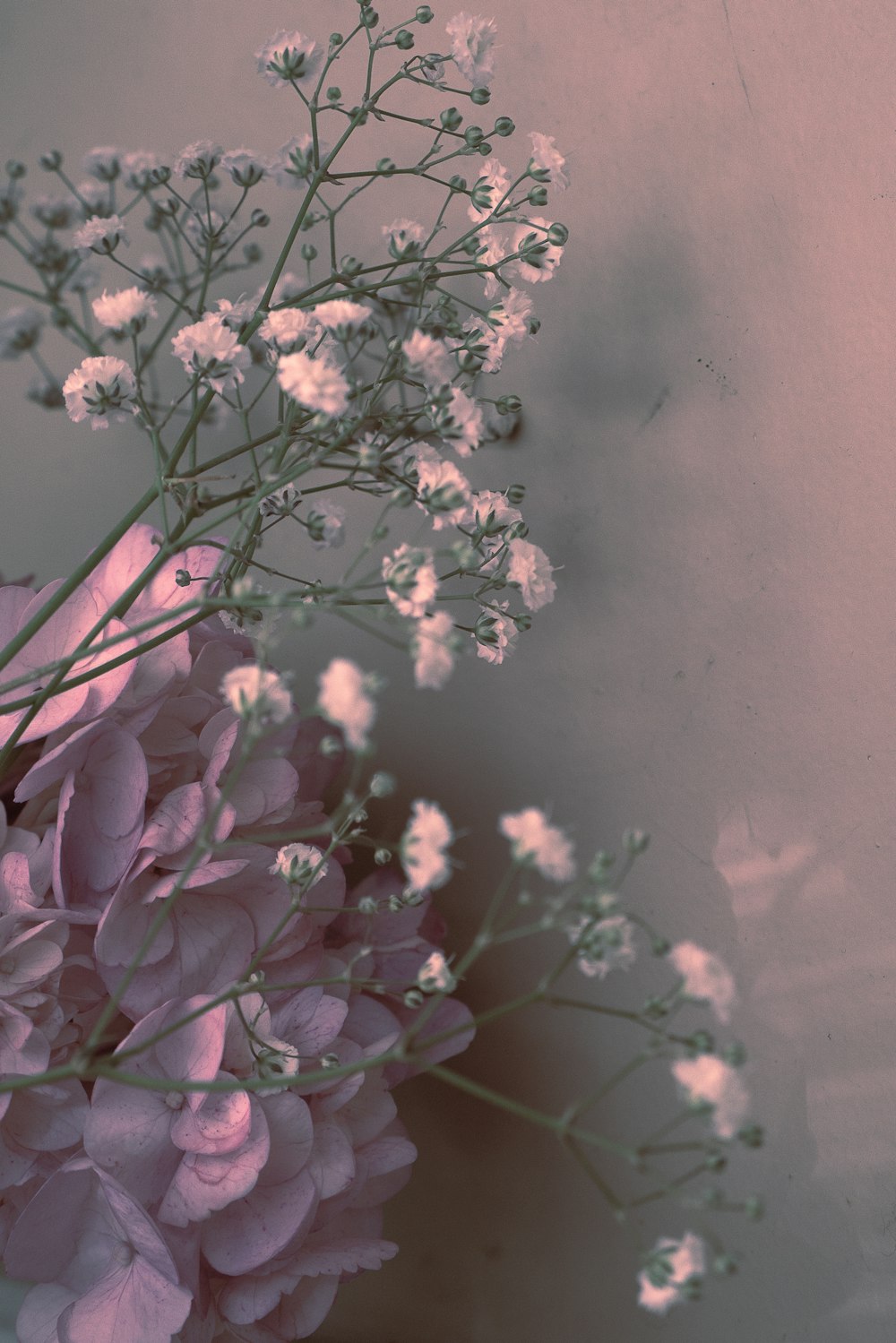 a vase filled with lots of pink and white flowers