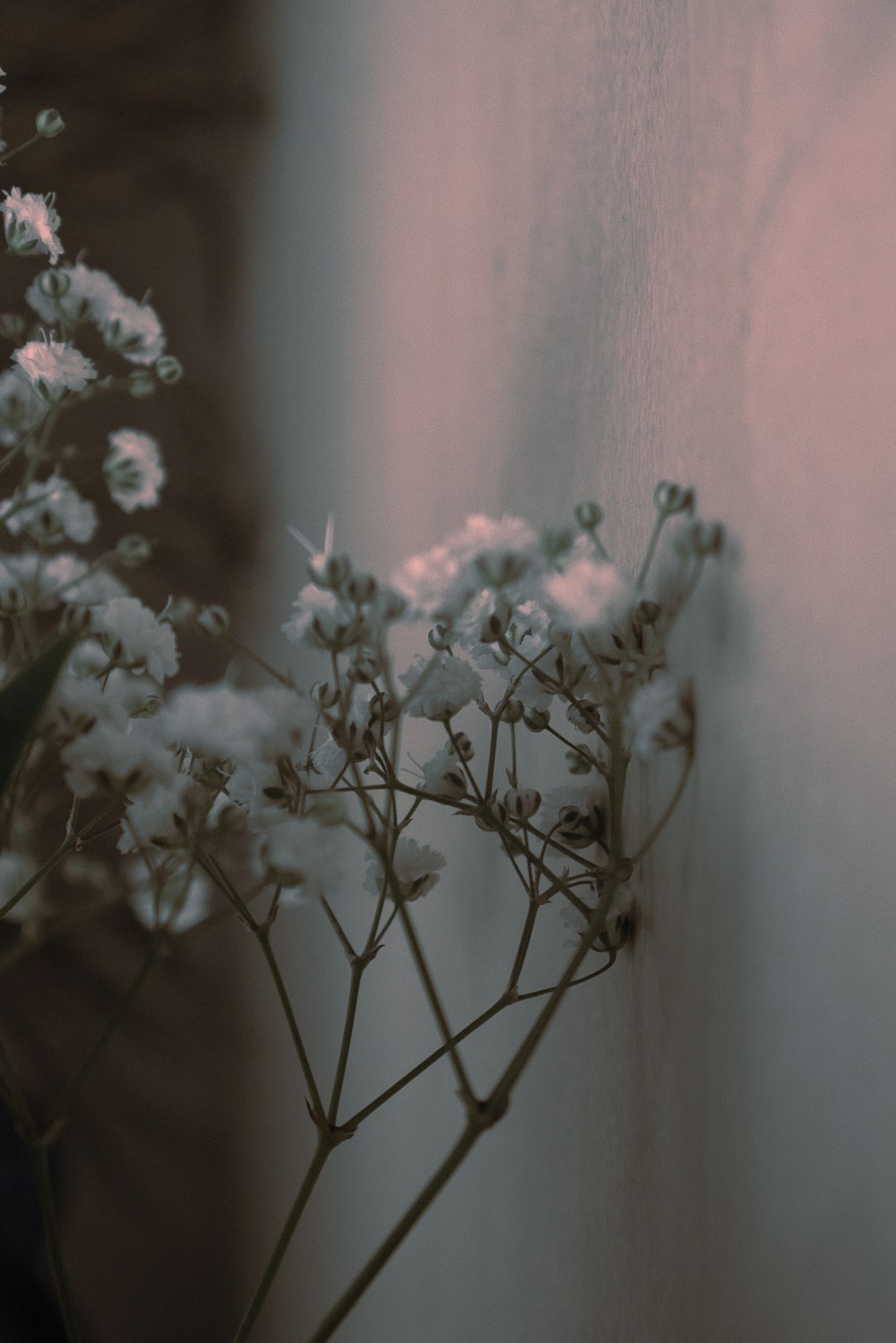 Un ramo de flores blancas sentado encima de una mesa