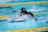 A swimmer is captured mid-stroke in a competitive swimming pool. Wearing a black swim cap with an American flag and reflective goggles, the swimmer is surrounded by splashing water. Yellow lane dividers line the pool, indicating lane boundaries.