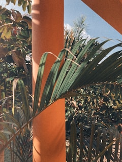 An inviting email capture section with bright colors and tropical themes.