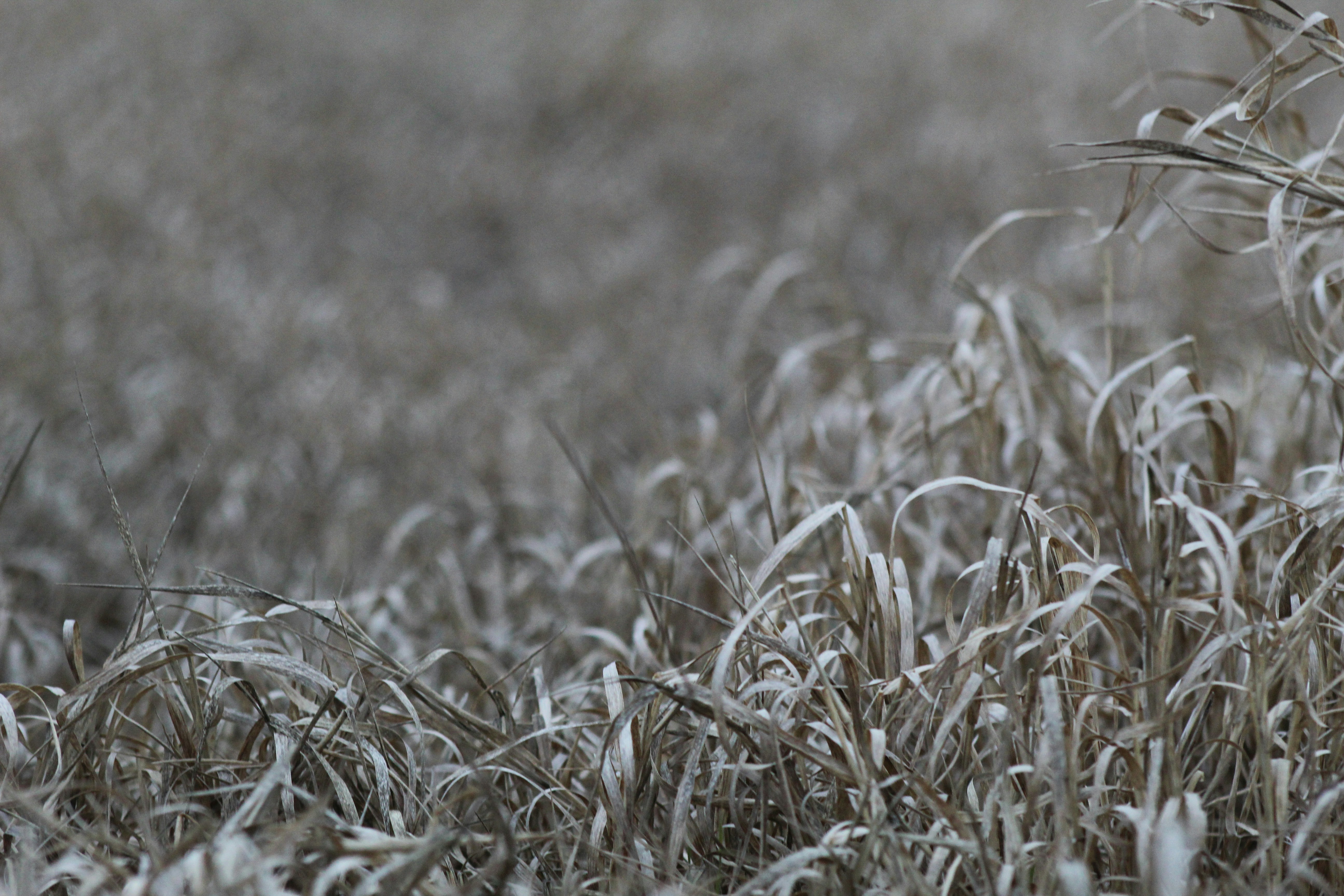 Photo by lilyycamillephoto