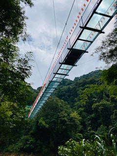 A panoramic view of a sky glass bridge stretching over a deep valley.