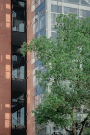 A modern building with a brick exterior and large glass windows reflecting the surrounding environment. A prominent green tree is in the foreground, providing a natural contrast to the structure's sleek design. An external stairway is visible through the glass windows.