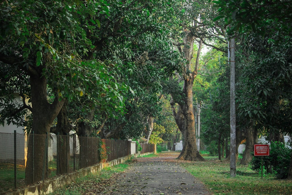 a dirt road surrounded by trees and a fence