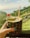 A hand is holding a hollowed-out pineapple filled with a tropical drink, garnished with a slice of lime, a cherry, and a straw. In the background, a scenic landscape with lush greenery and a distant view of the ocean under a clear sky is visible.