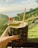 A hand is holding a hollowed-out pineapple filled with a tropical drink, garnished with a slice of lime, a cherry, and a straw. In the background, a scenic landscape with lush greenery and a distant view of the ocean under a clear sky is visible.