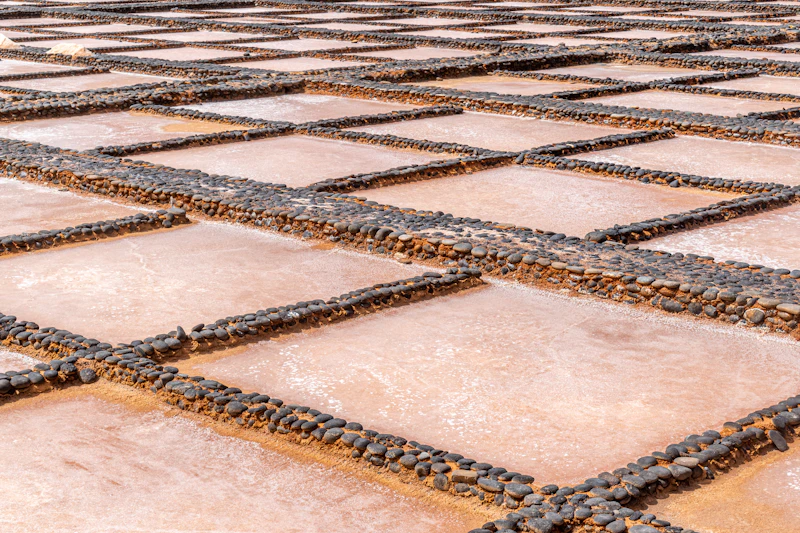 Pomorie Salt Pans
