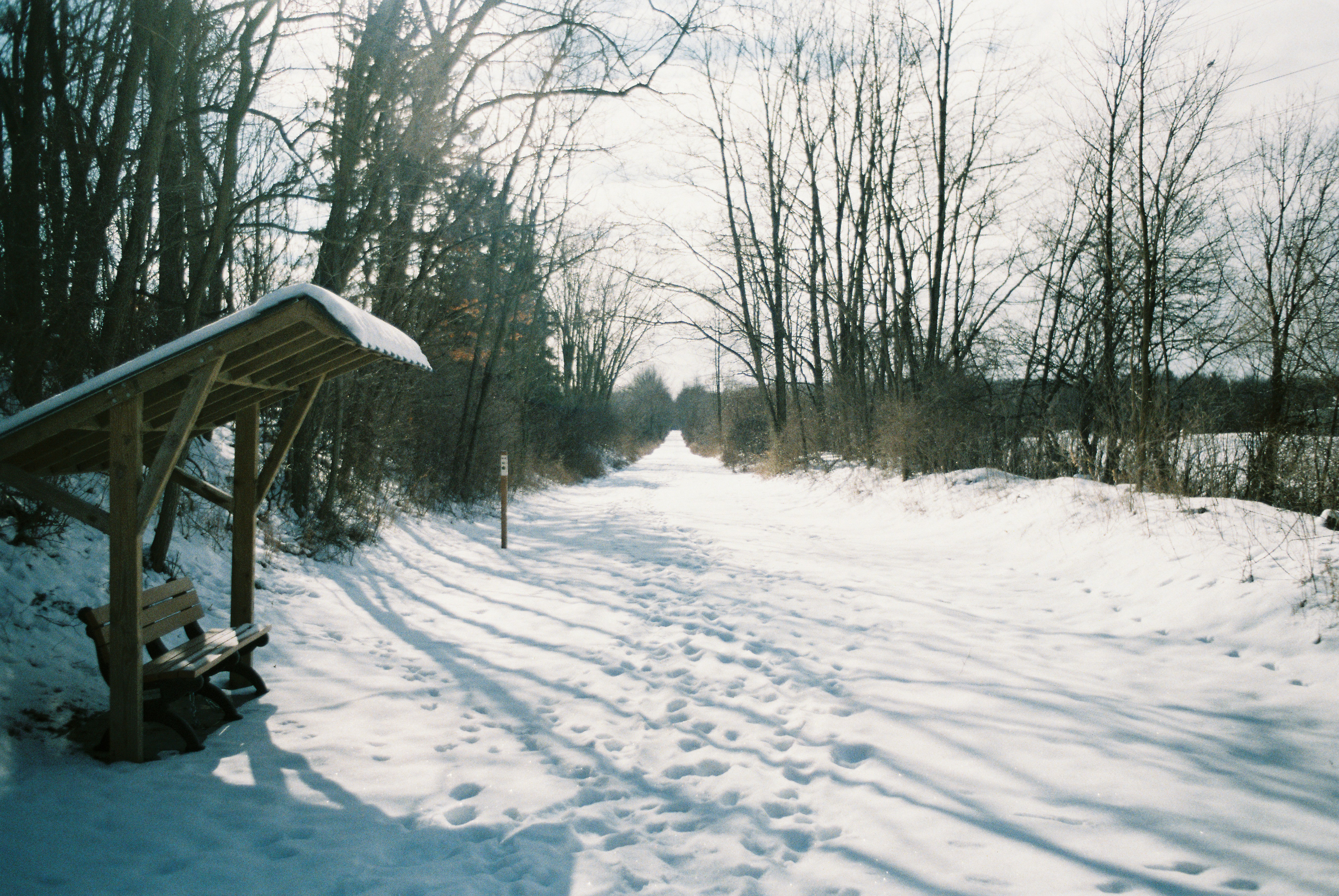 Photo by lukeschlanderer