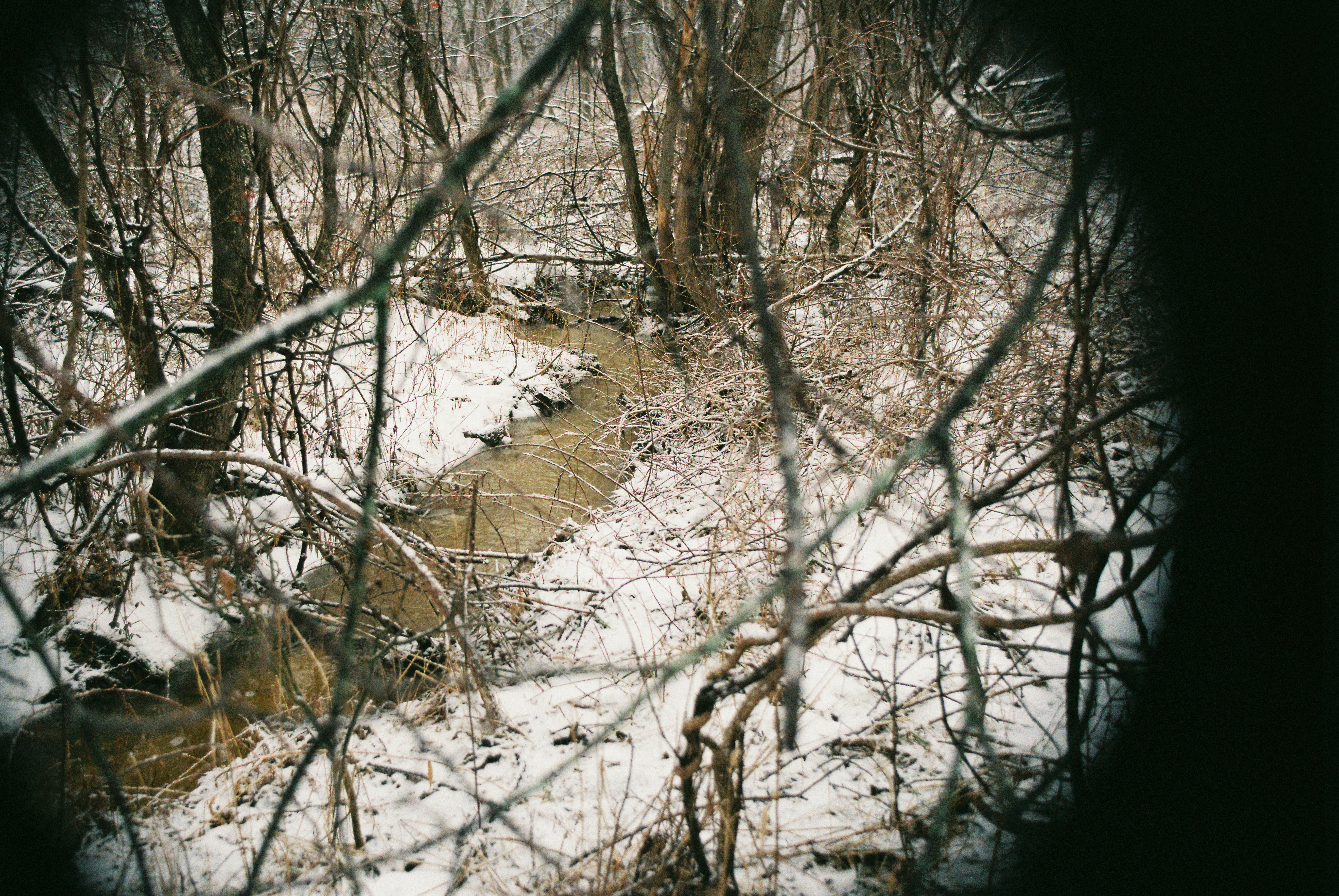 Photo by lukeschlanderer