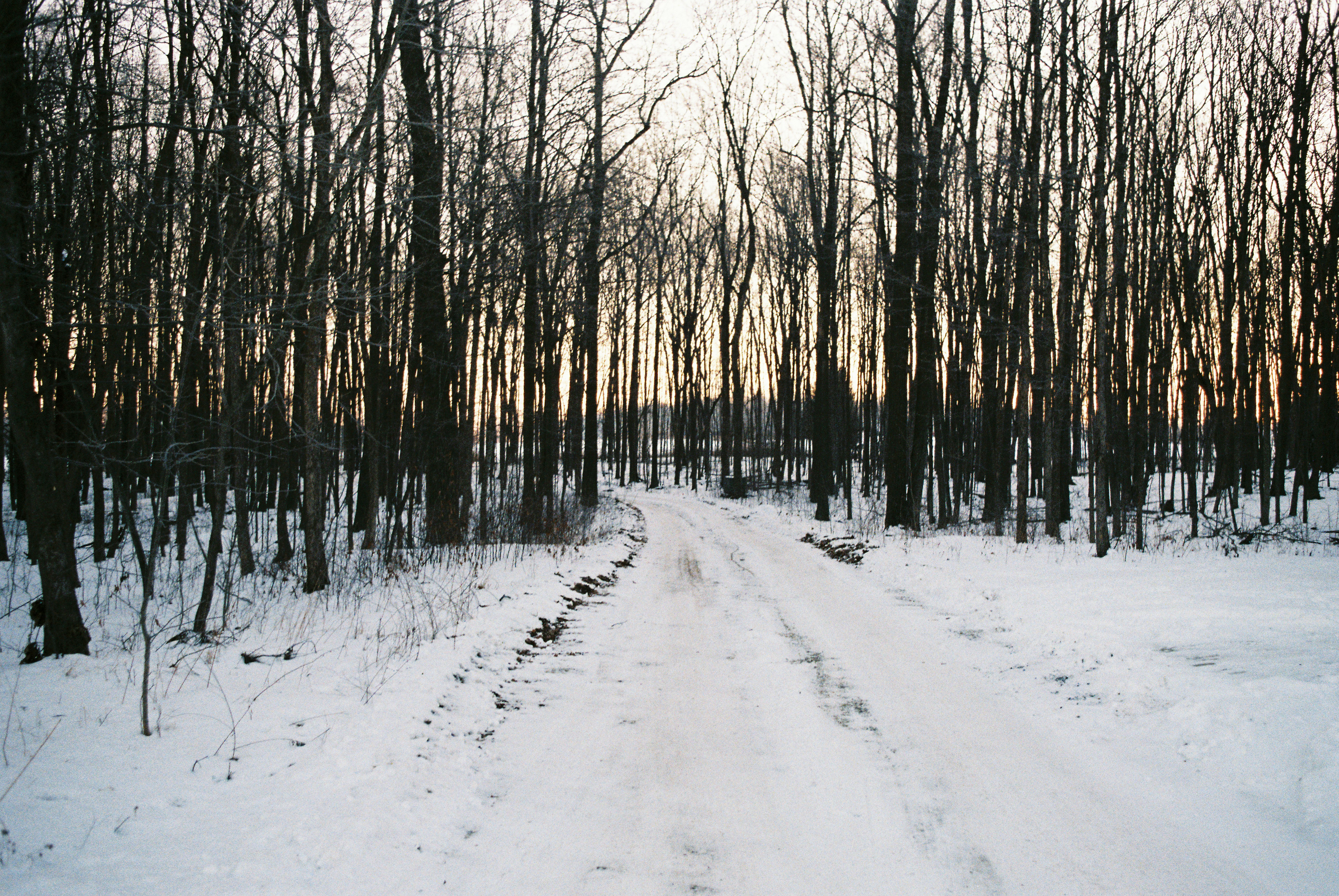 Photo by lukeschlanderer