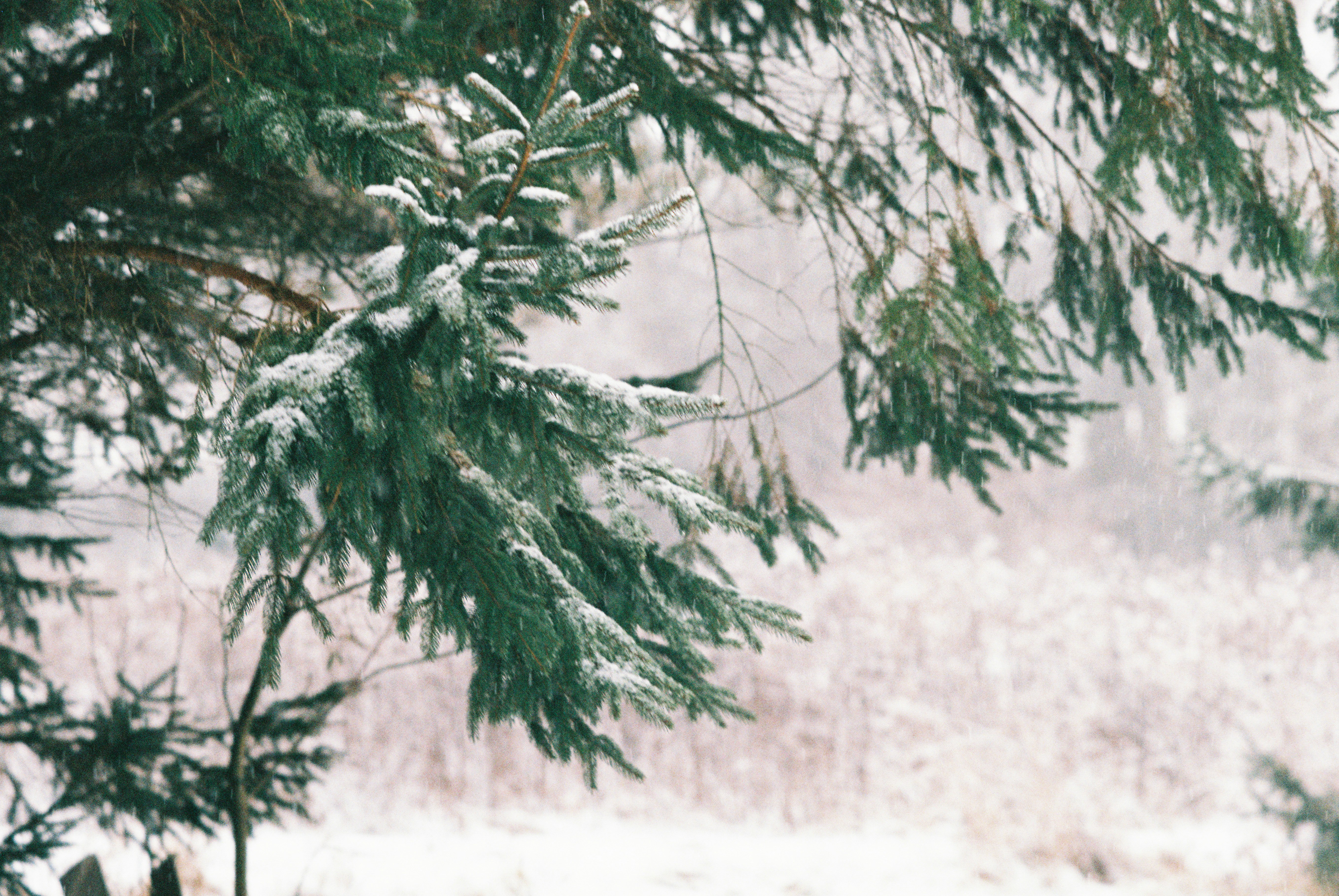 Photo by lukeschlanderer