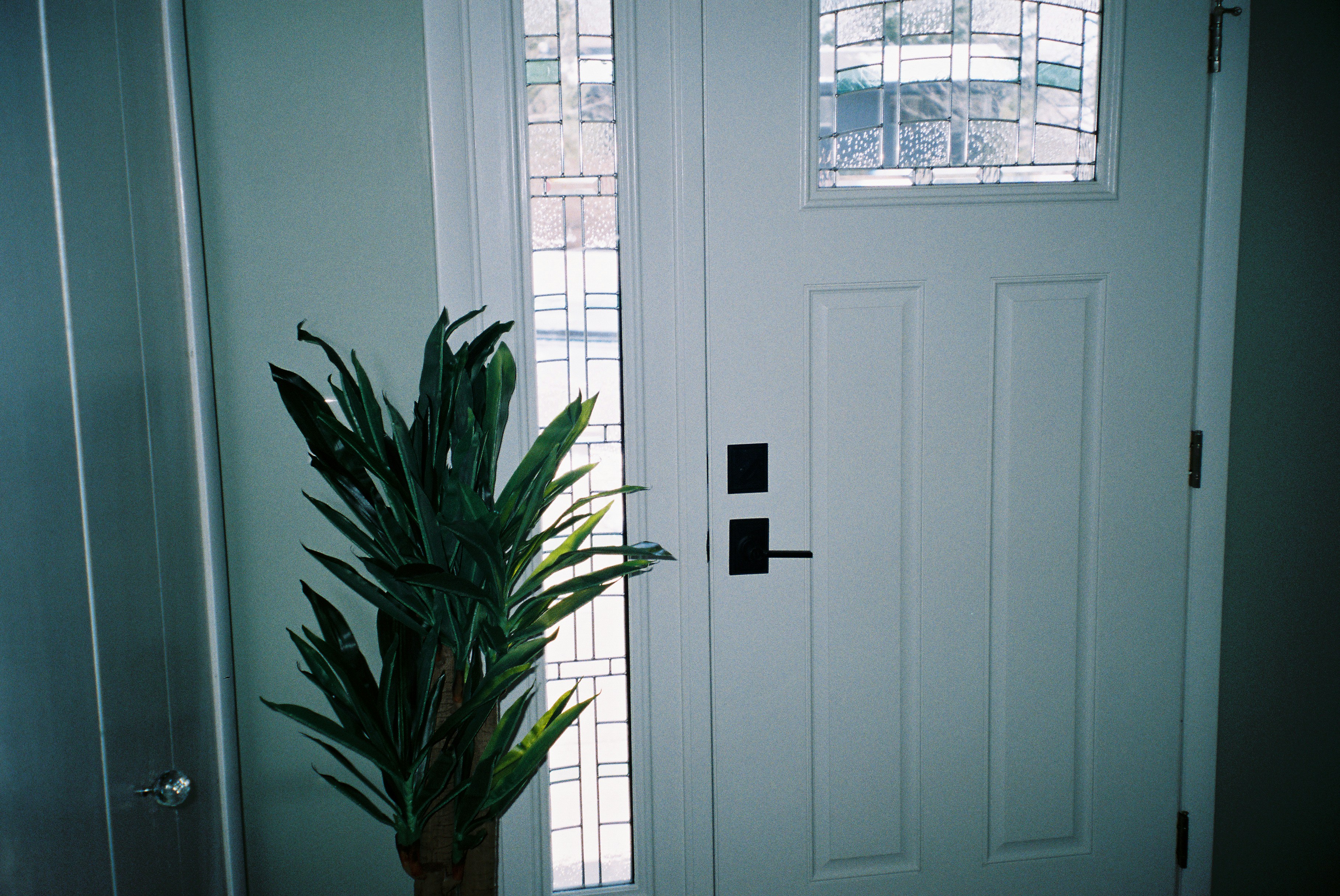 Photo by lukeschlanderer