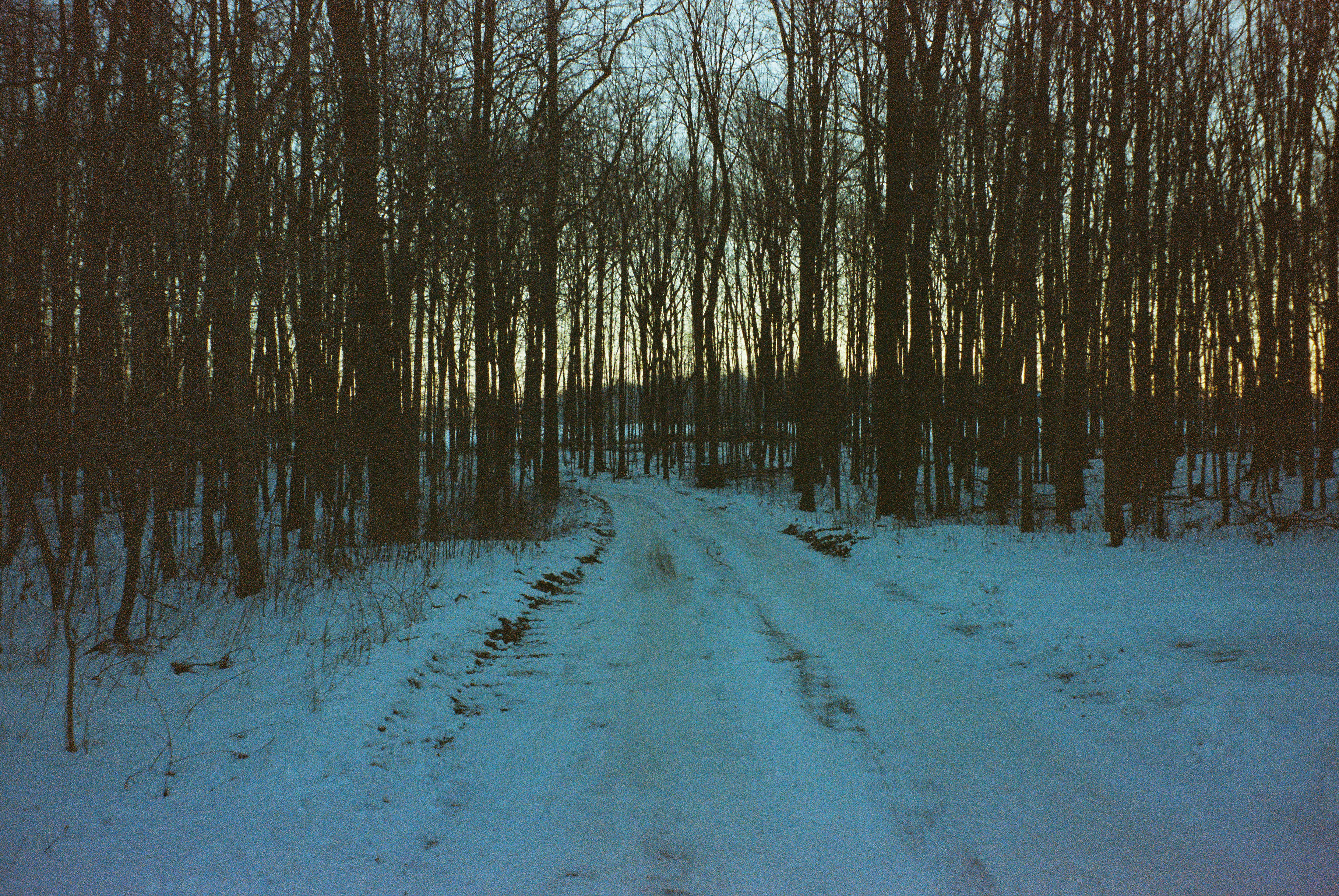 Photo by lukeschlanderer