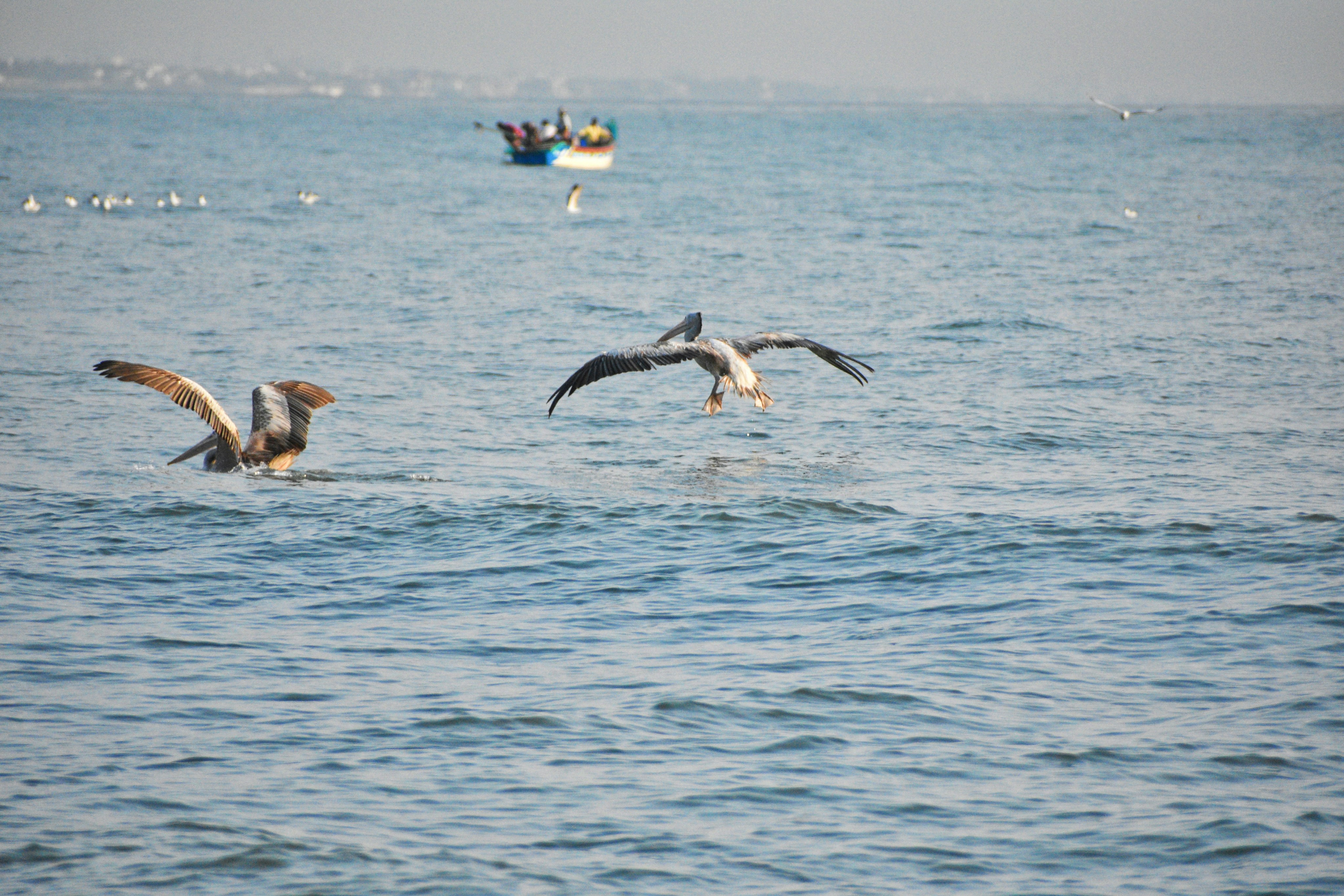 Photo by karthik_skpshalrith