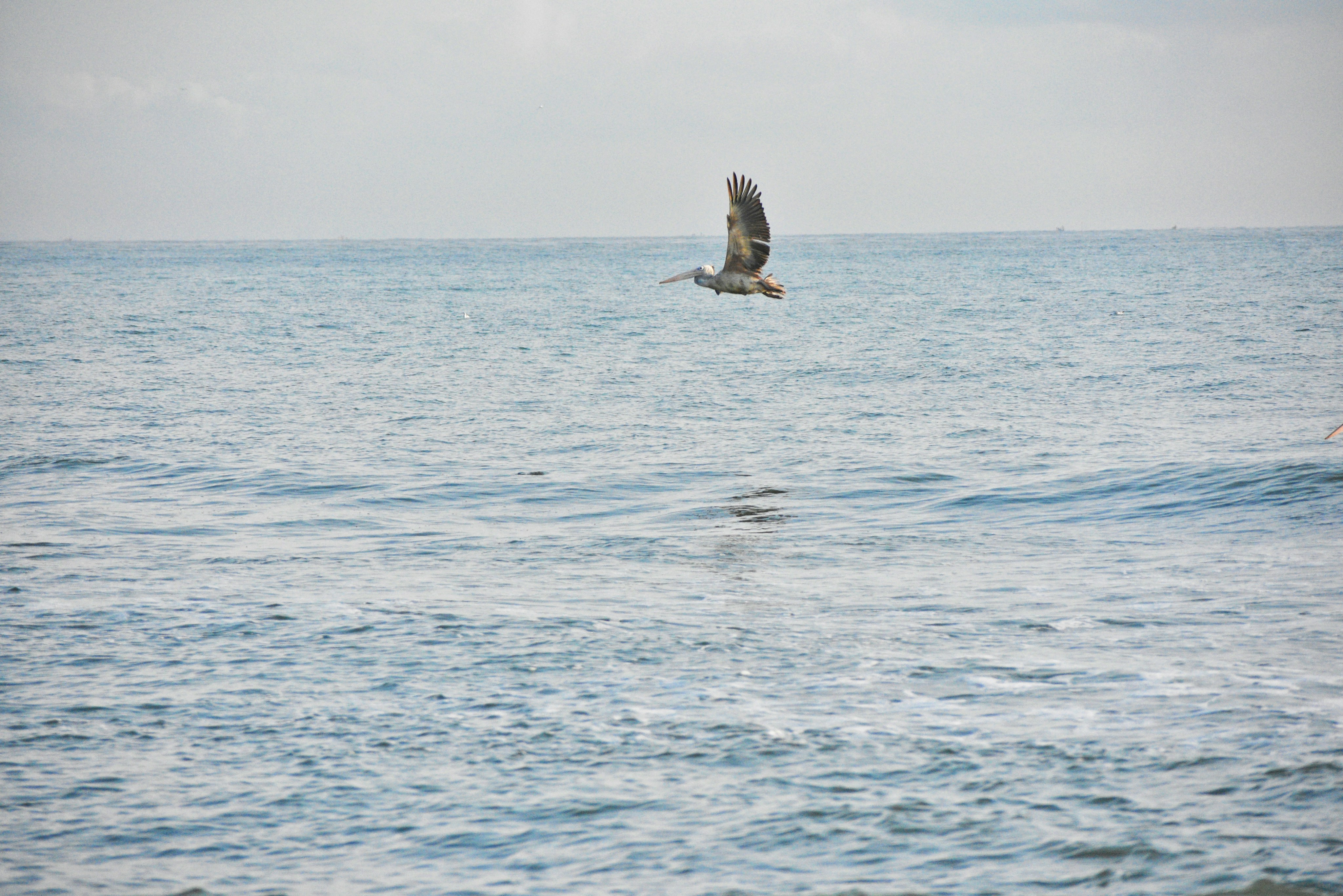 Photo by karthik_skpshalrith