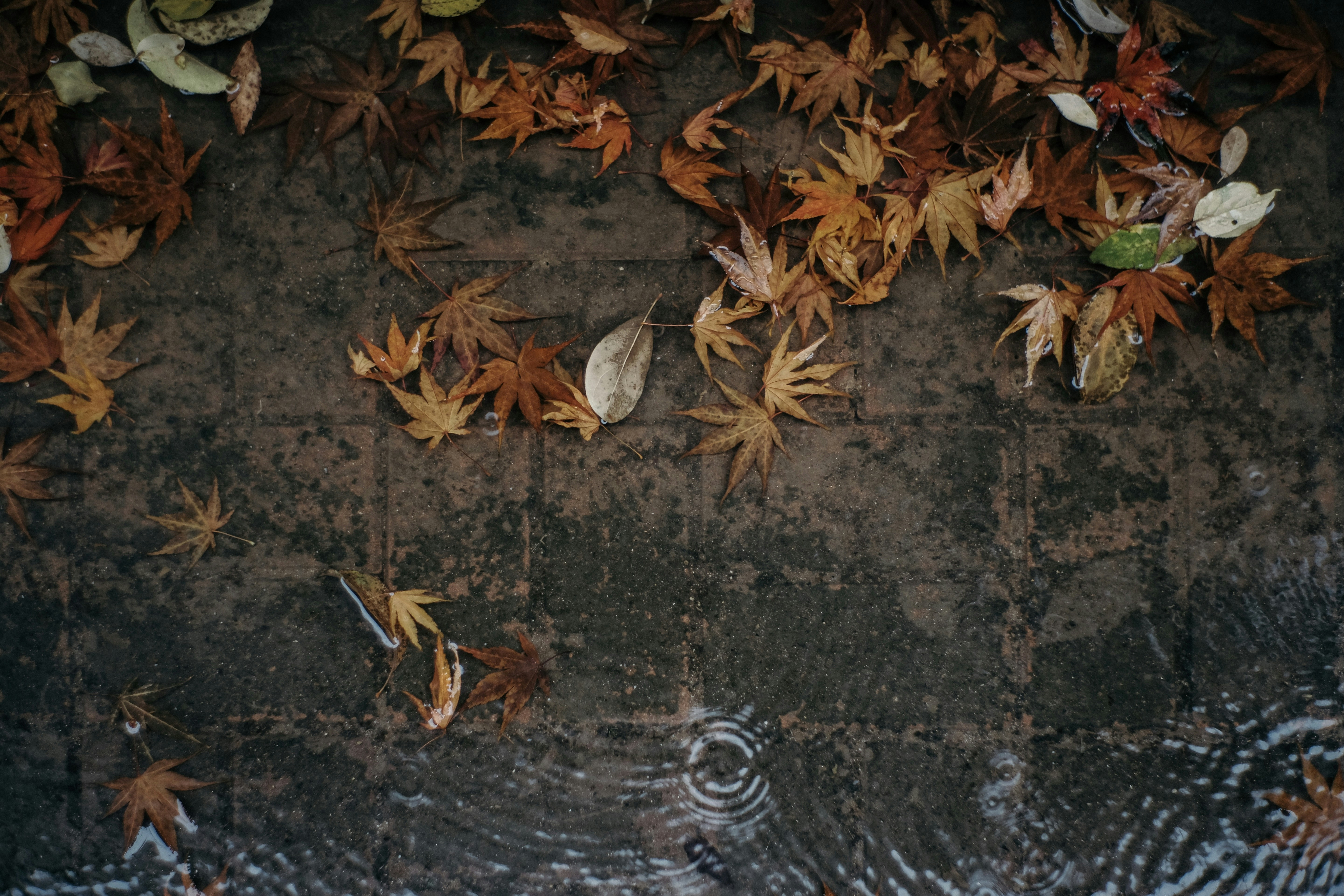 Photo by insungpandora