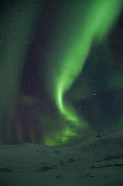 a green and purple aurora bore in the sky