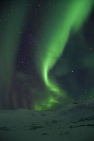a green and purple aurora bore in the sky