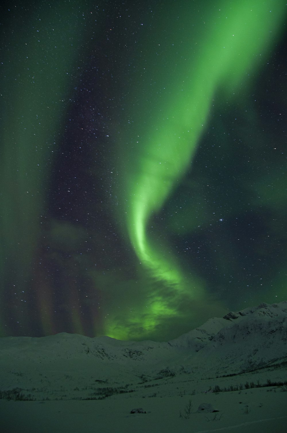 a green and purple aurora bore in the sky